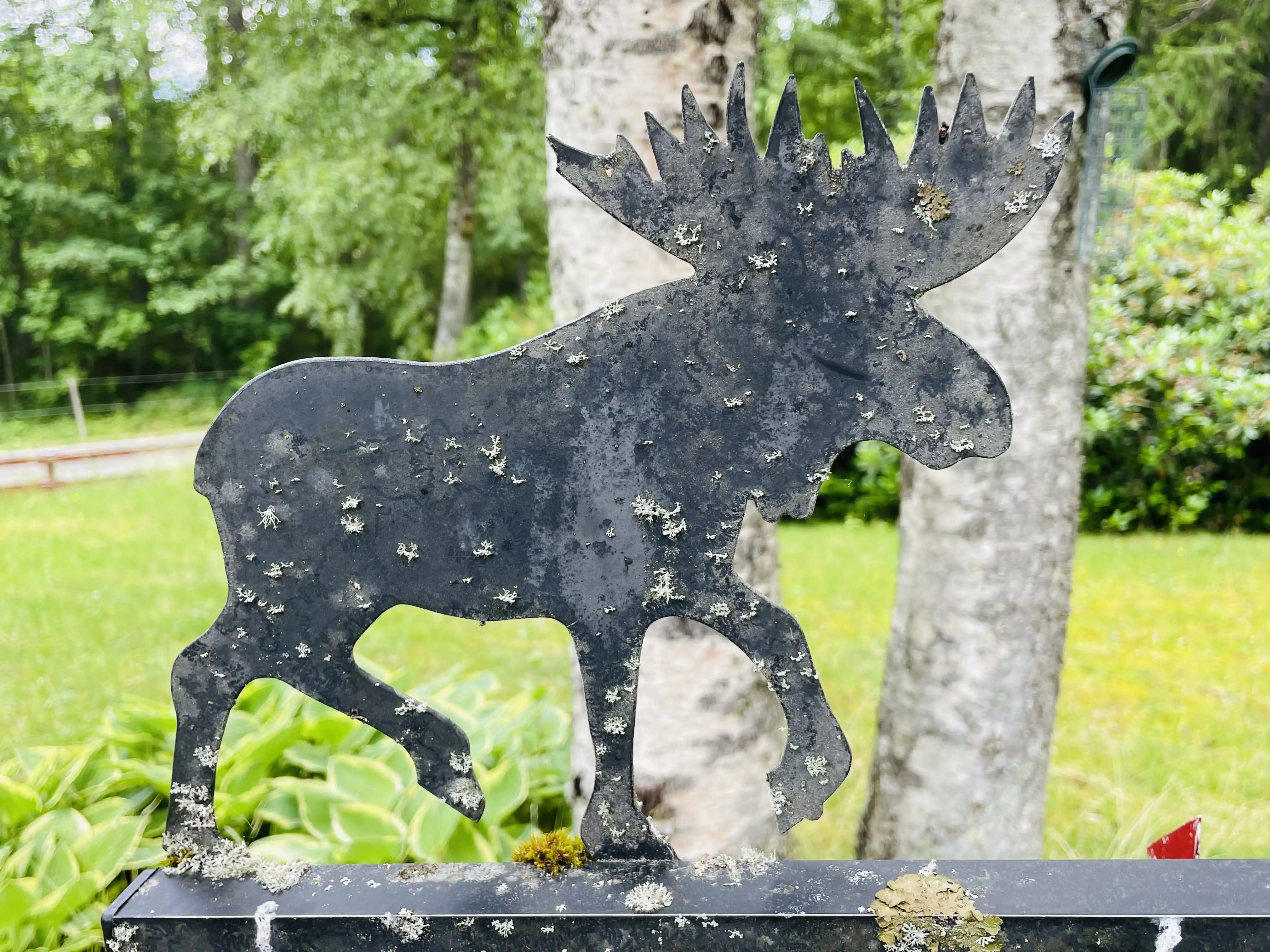 87CD0CEF-21B7-4A42-98AF-FE42BF1AC33F 18