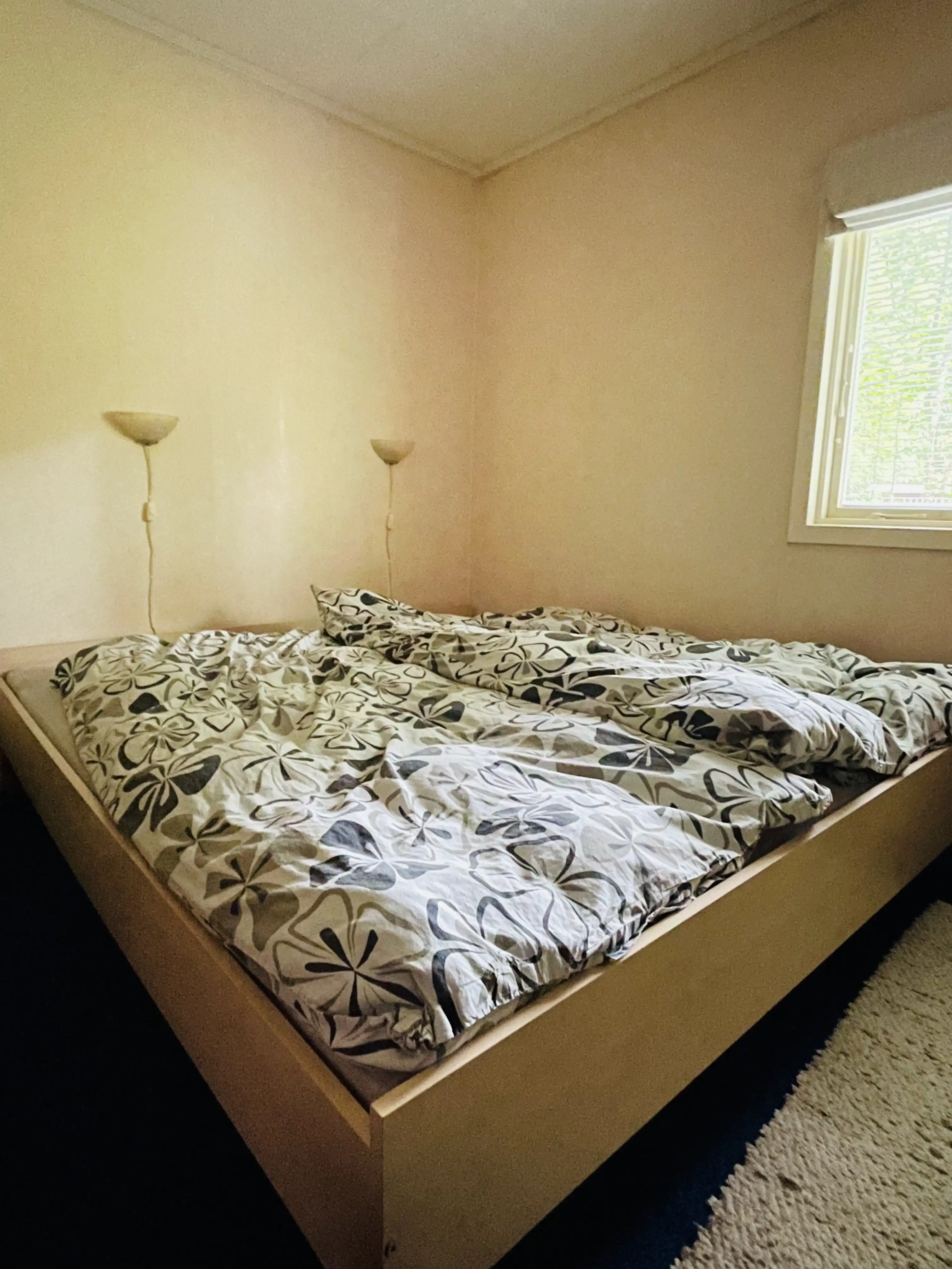 4C9027DC-53DD-4599-A355-3BB5E94929DD 9