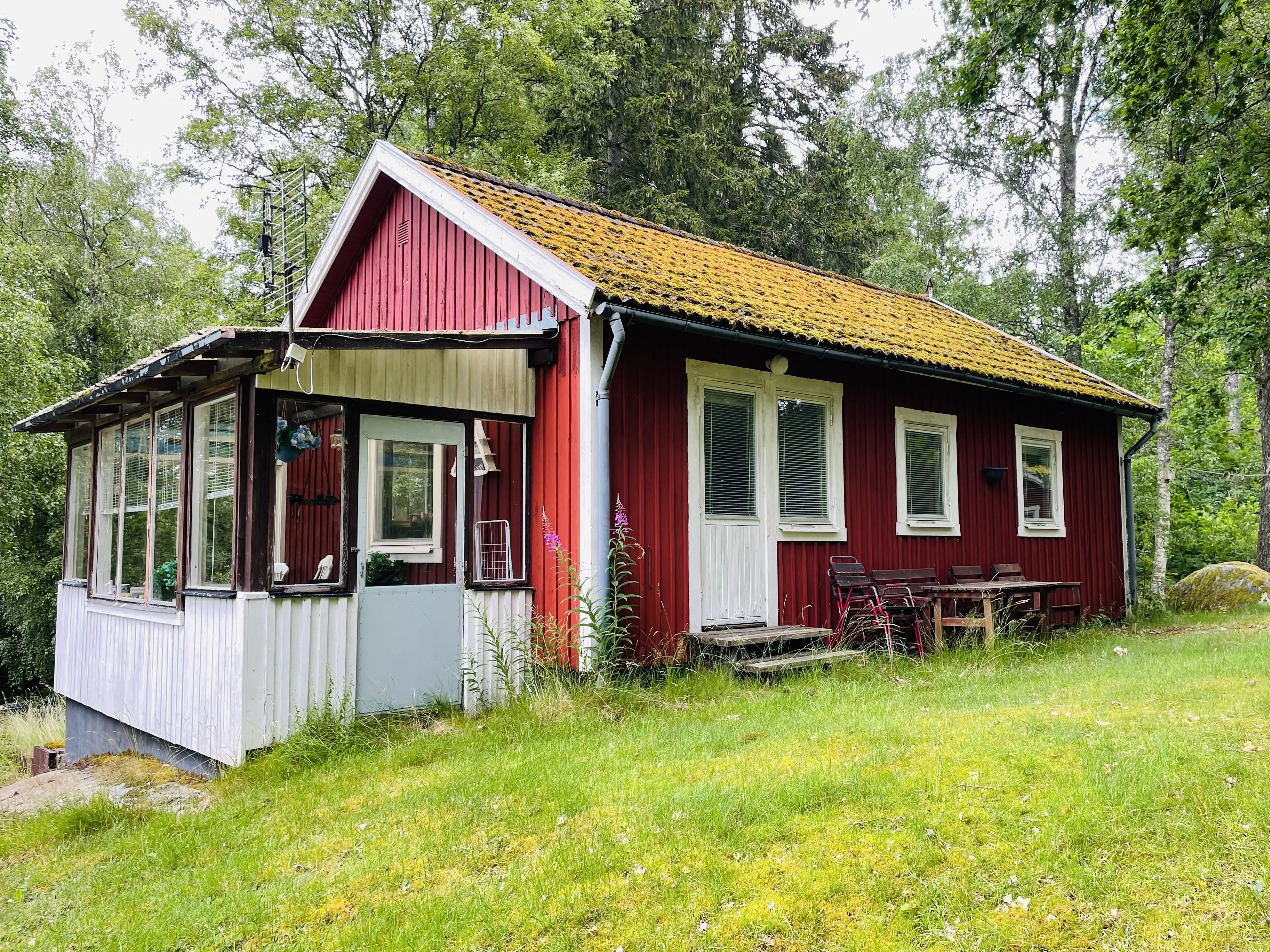 8B7DB6CF-85A0-430A-8AA2-60A98054362F 6