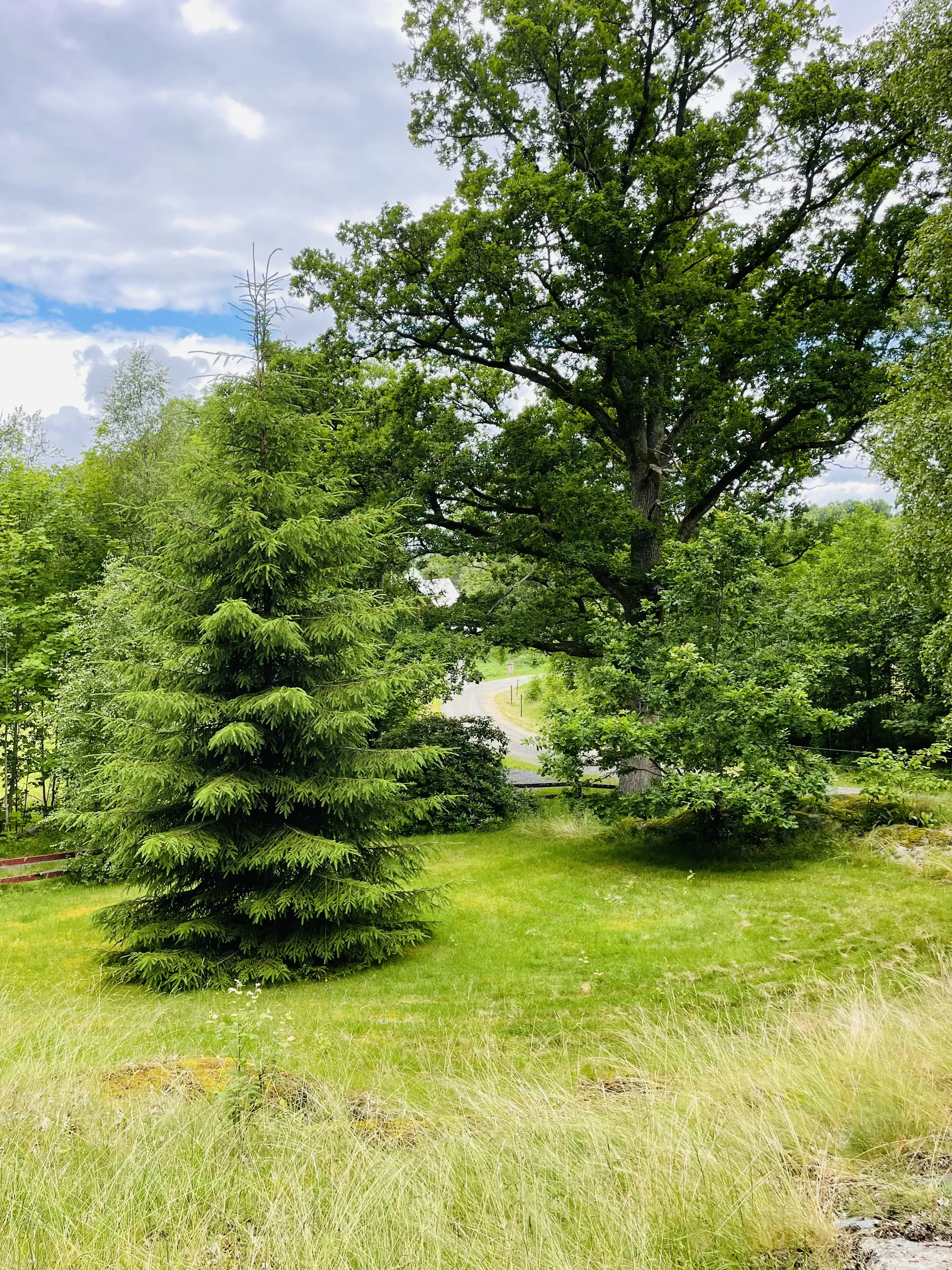 69FDAF3F-CD0E-48EE-8FF0-4E55BE55C00A 17