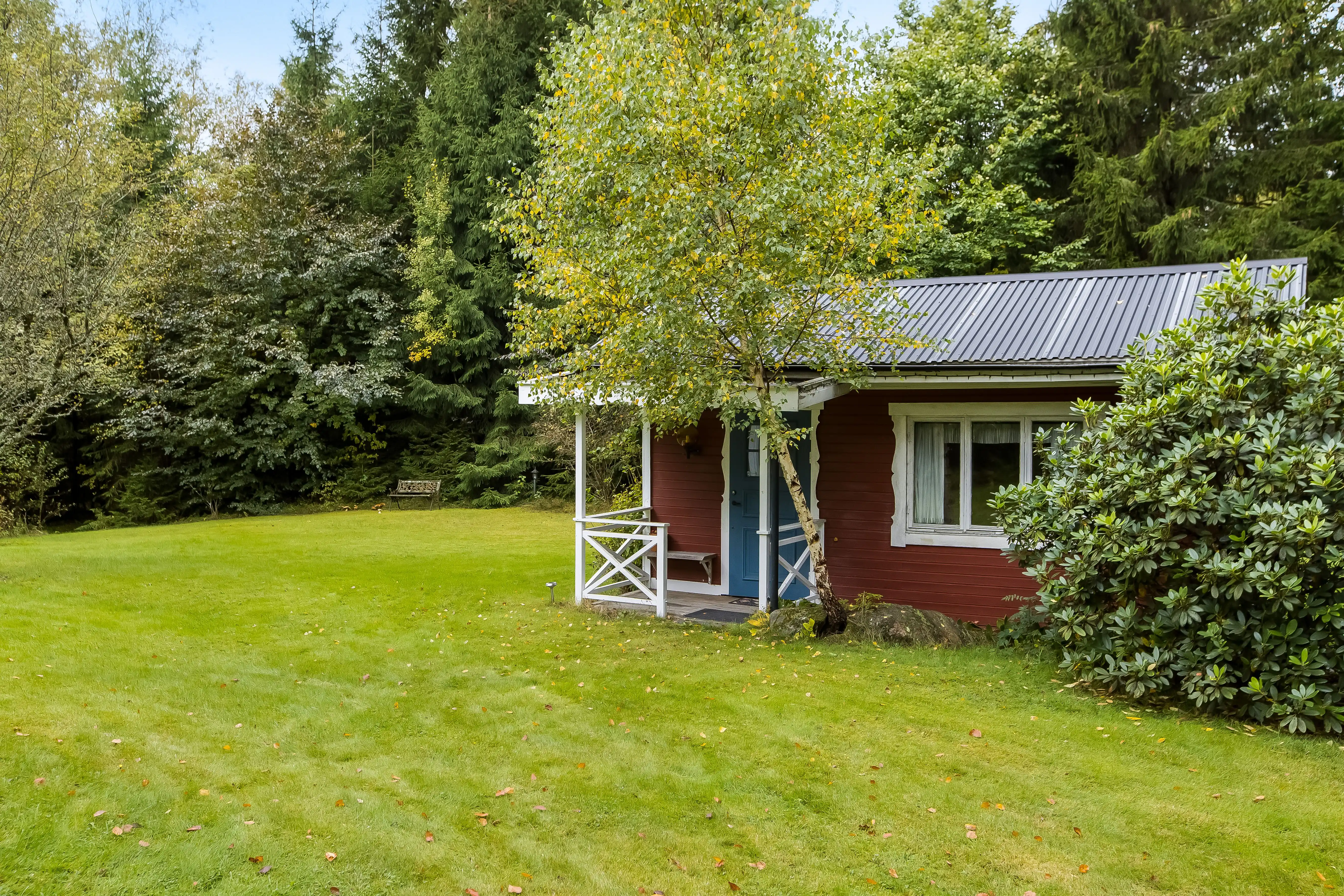 551035-25_023.jpg 12