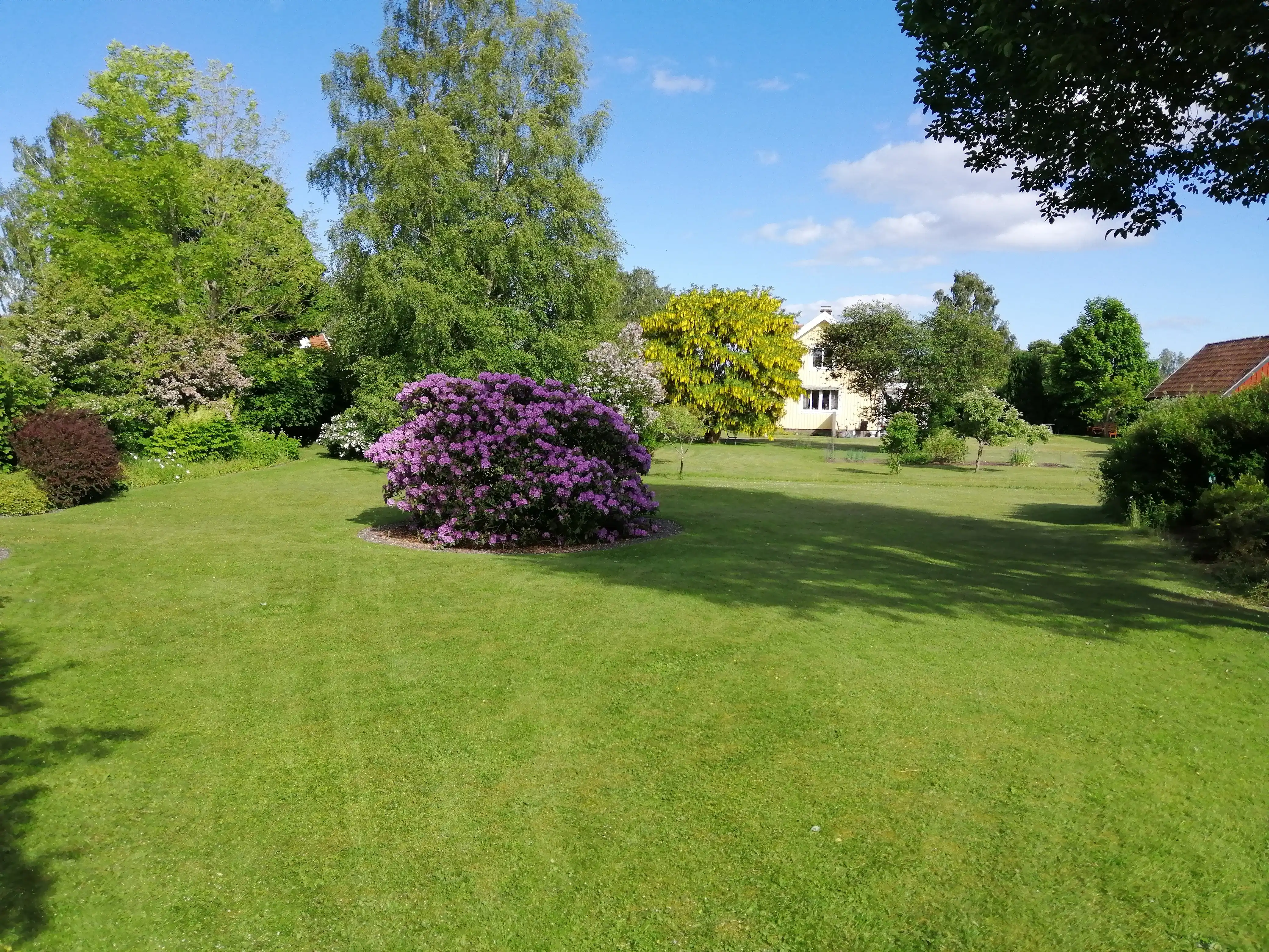 37 Aussicht, Garten vorn (1) 4