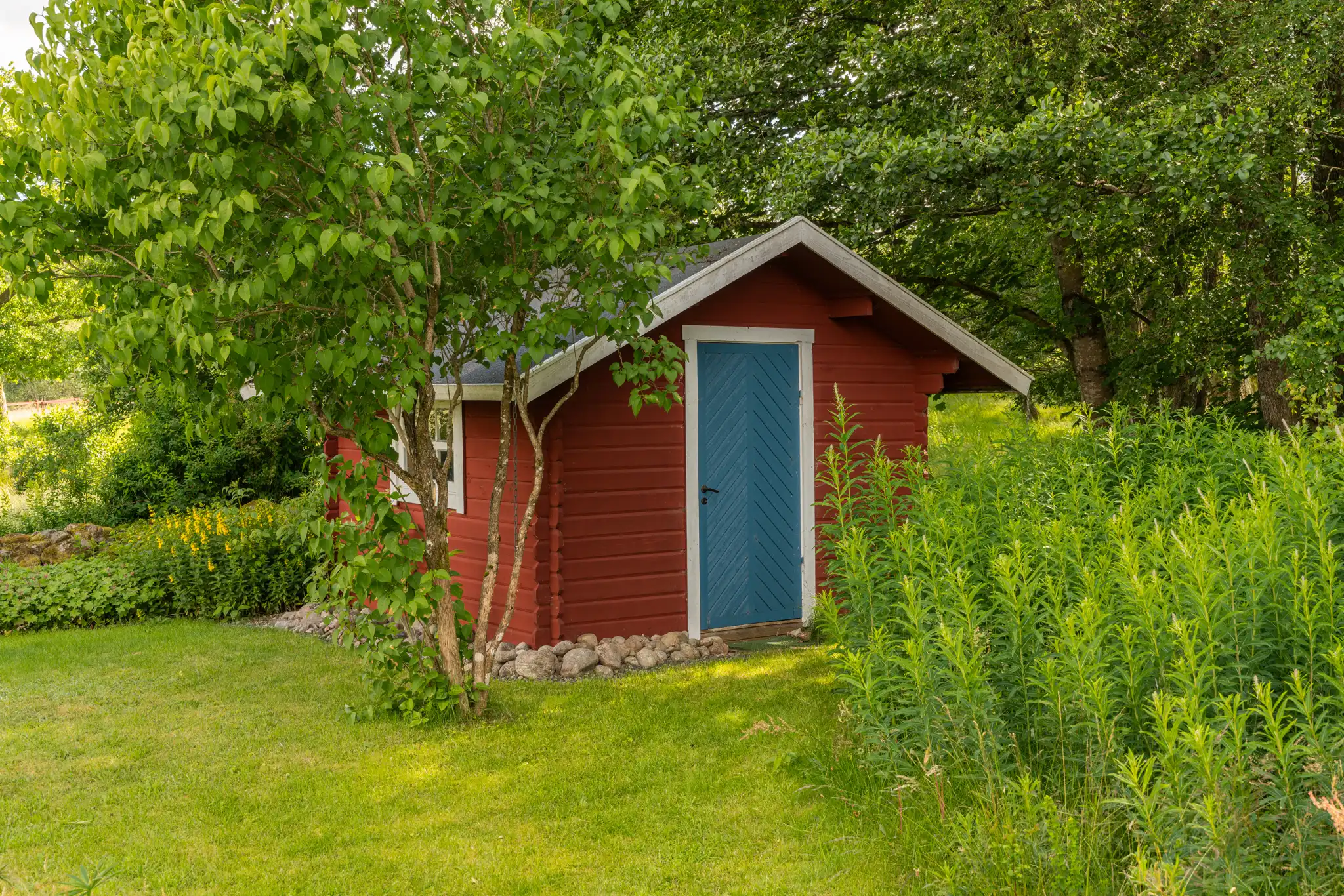 OdensjöBosagård4,Ljungby-17062024-032 32