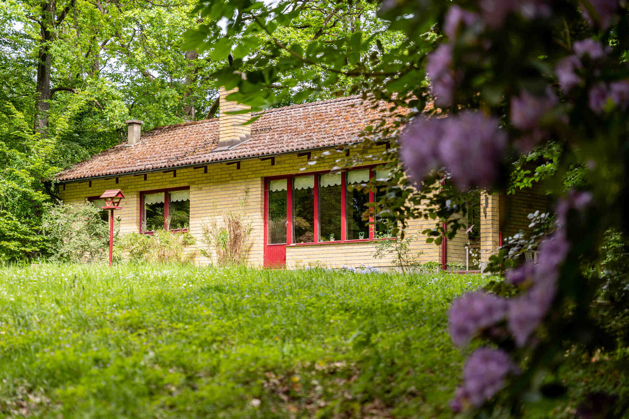 ÖstraHäglinge,Hässleholm-29052024-001 2