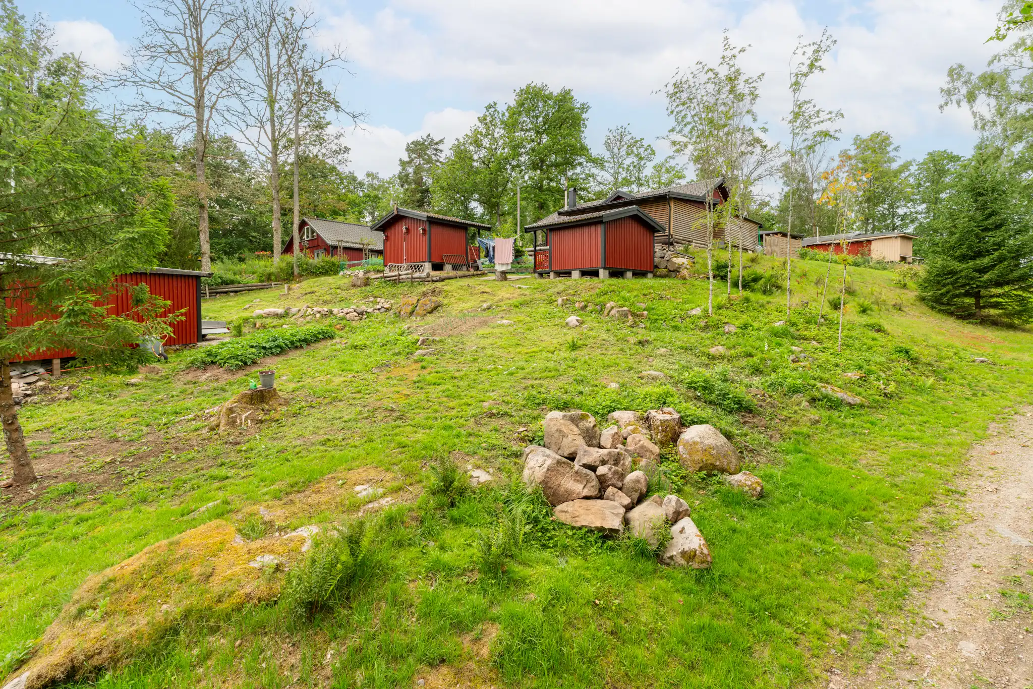 TorsetSödergård4,Ljungby-02072024-031 29
