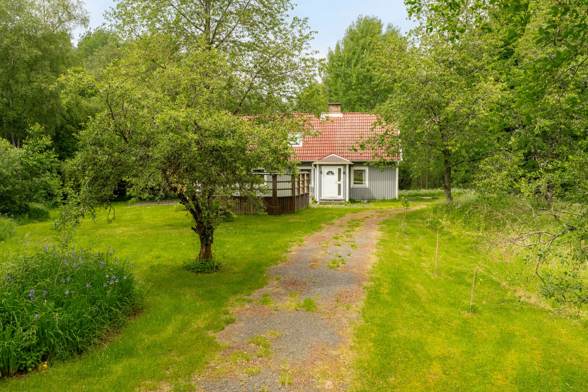 HördaKronolund1,Eneryda-10062024-004