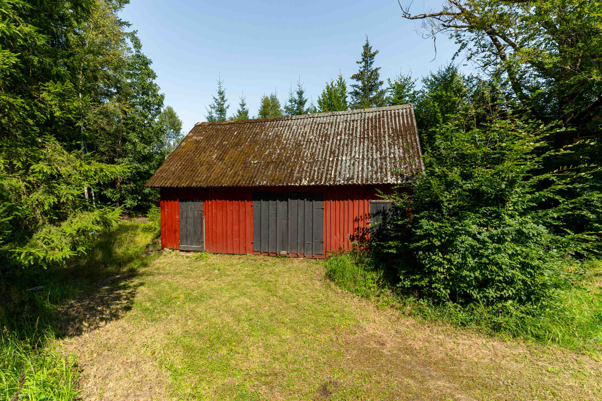 Hjärsås1260,Immeln-13082024-035 34