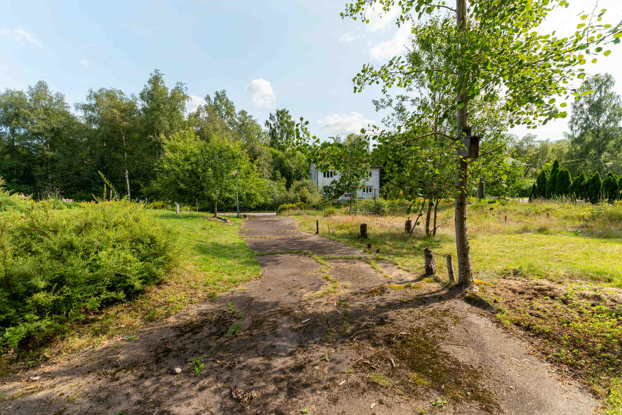 VivljungaVänneleden1,Strömsnäsbruk-01082024-008 39