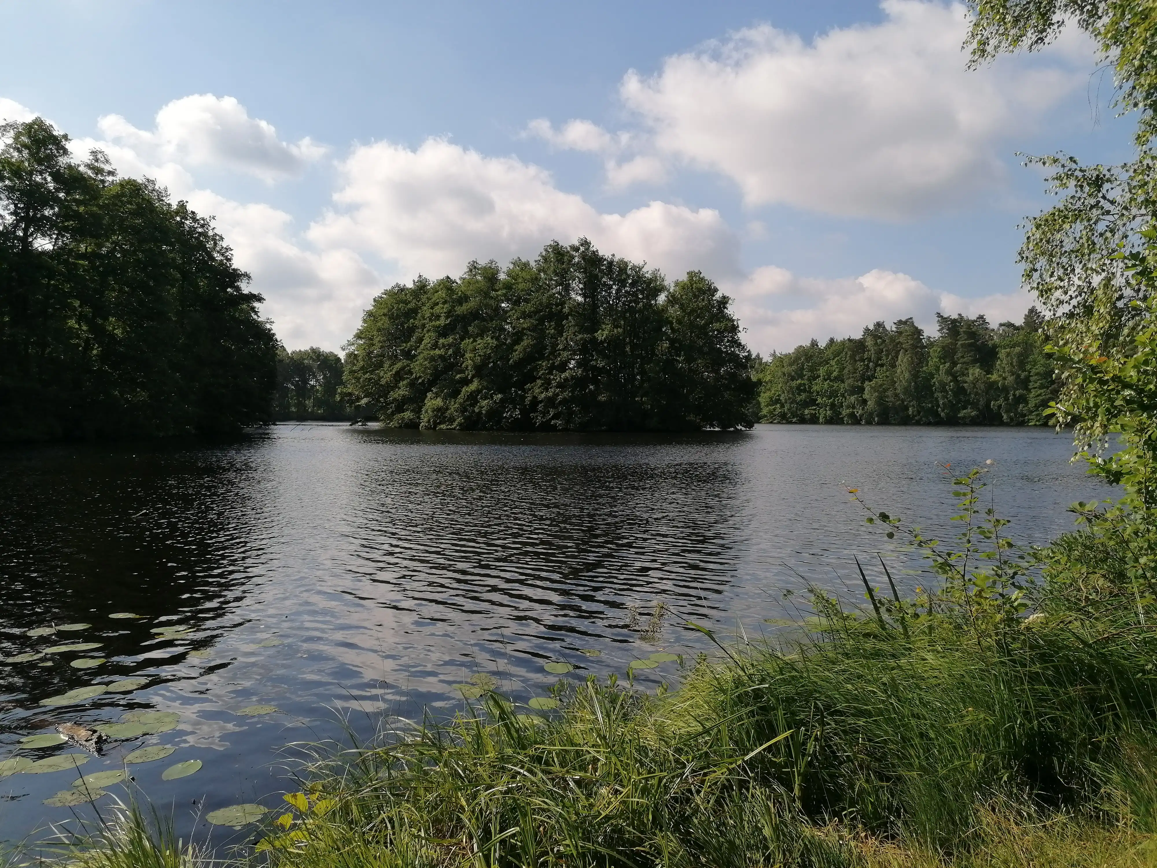 IMG_20220713_094307 33