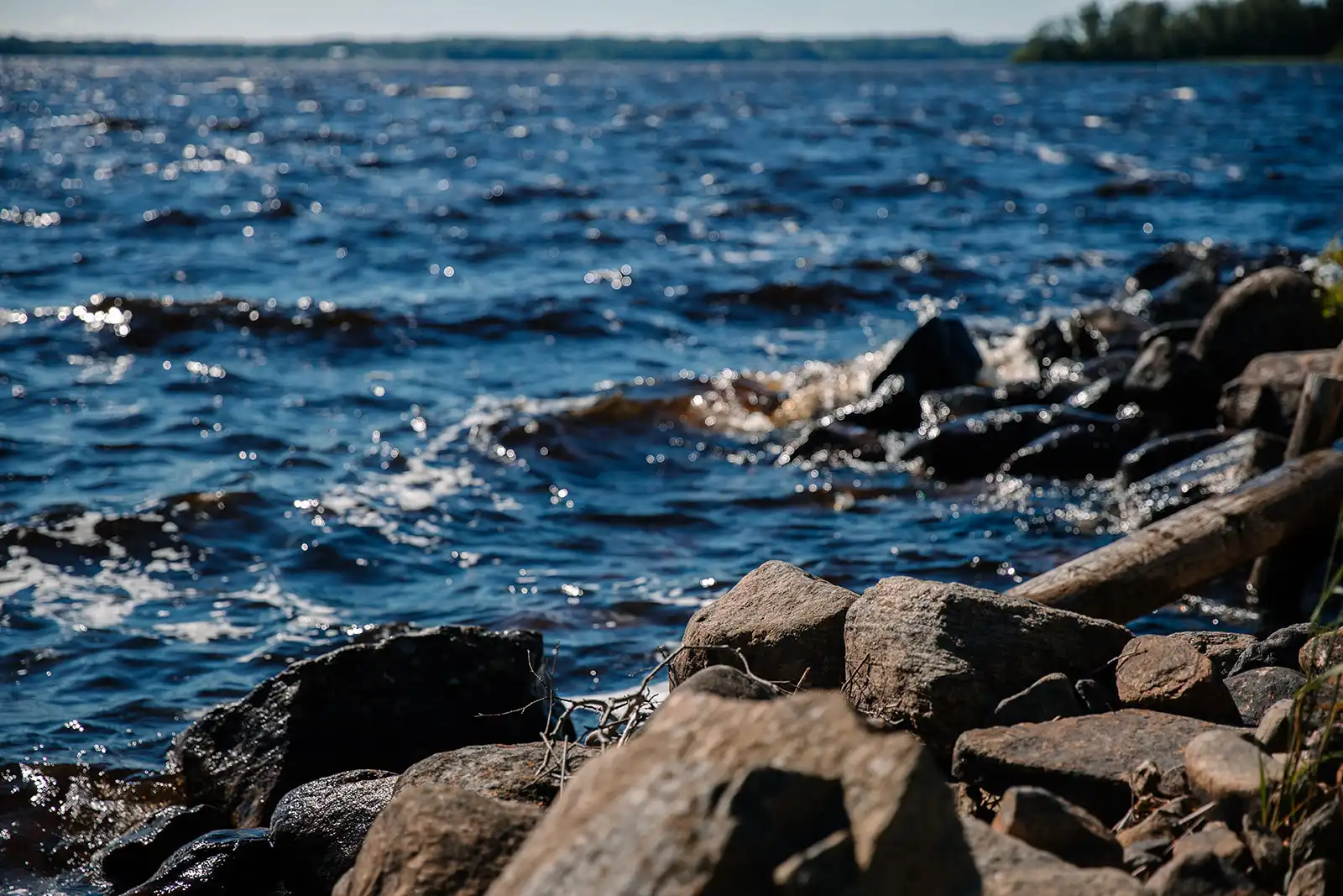 _I0A0997 50