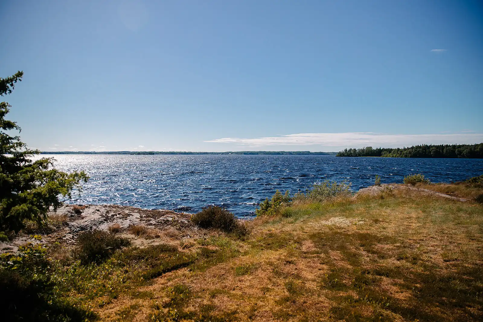 _I0A0962 44