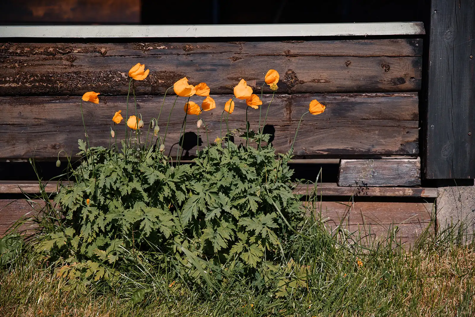 _I0A1026 42