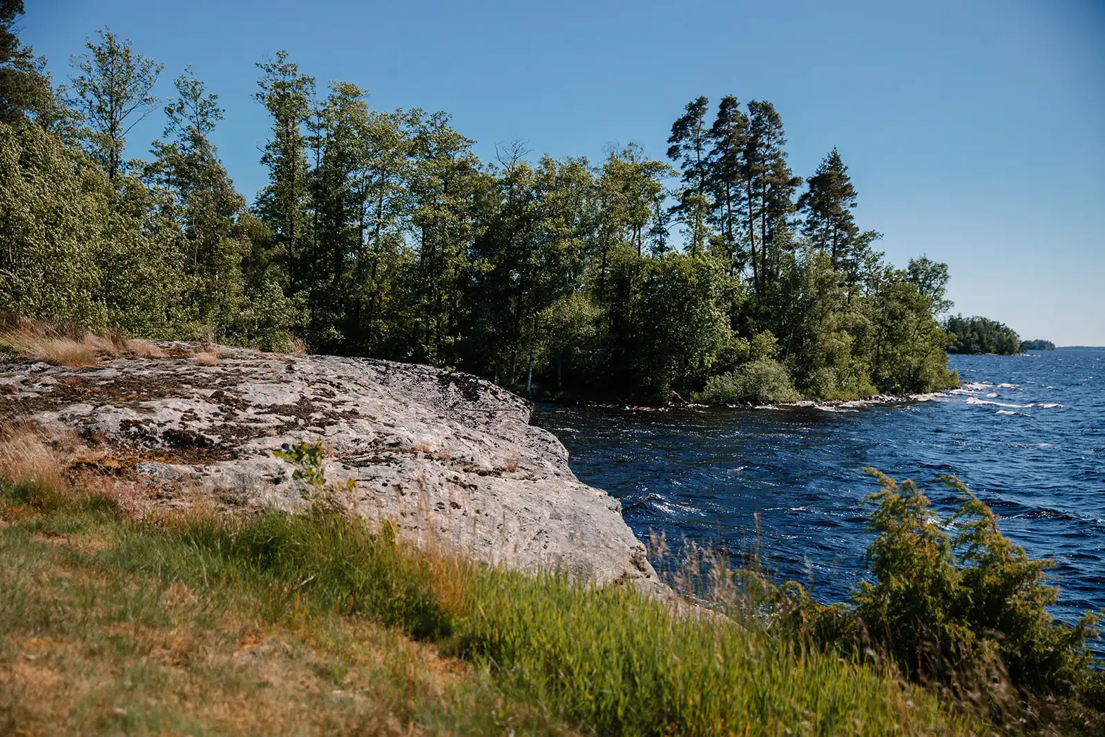 _I0A0964 45