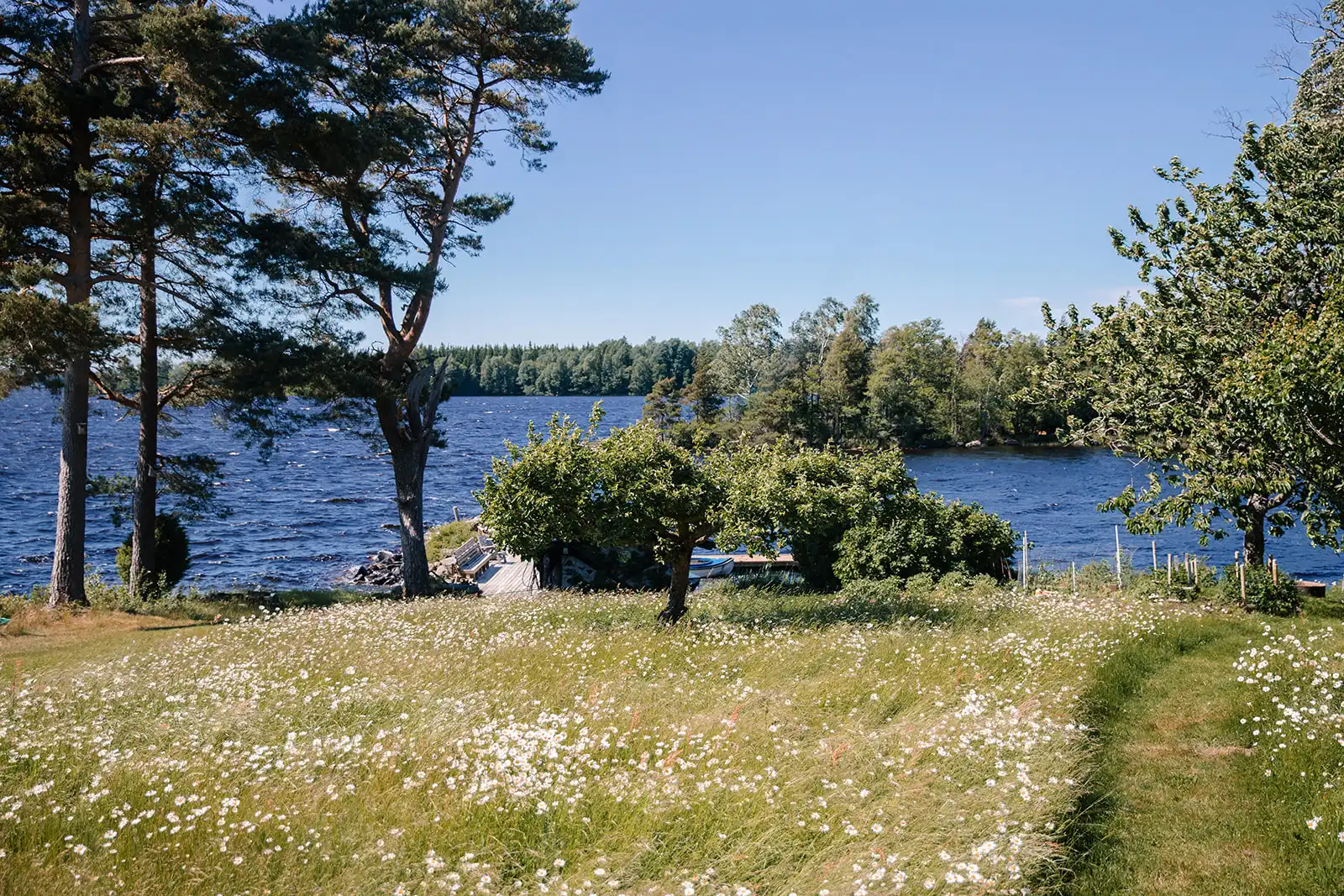 _I0A0911 37