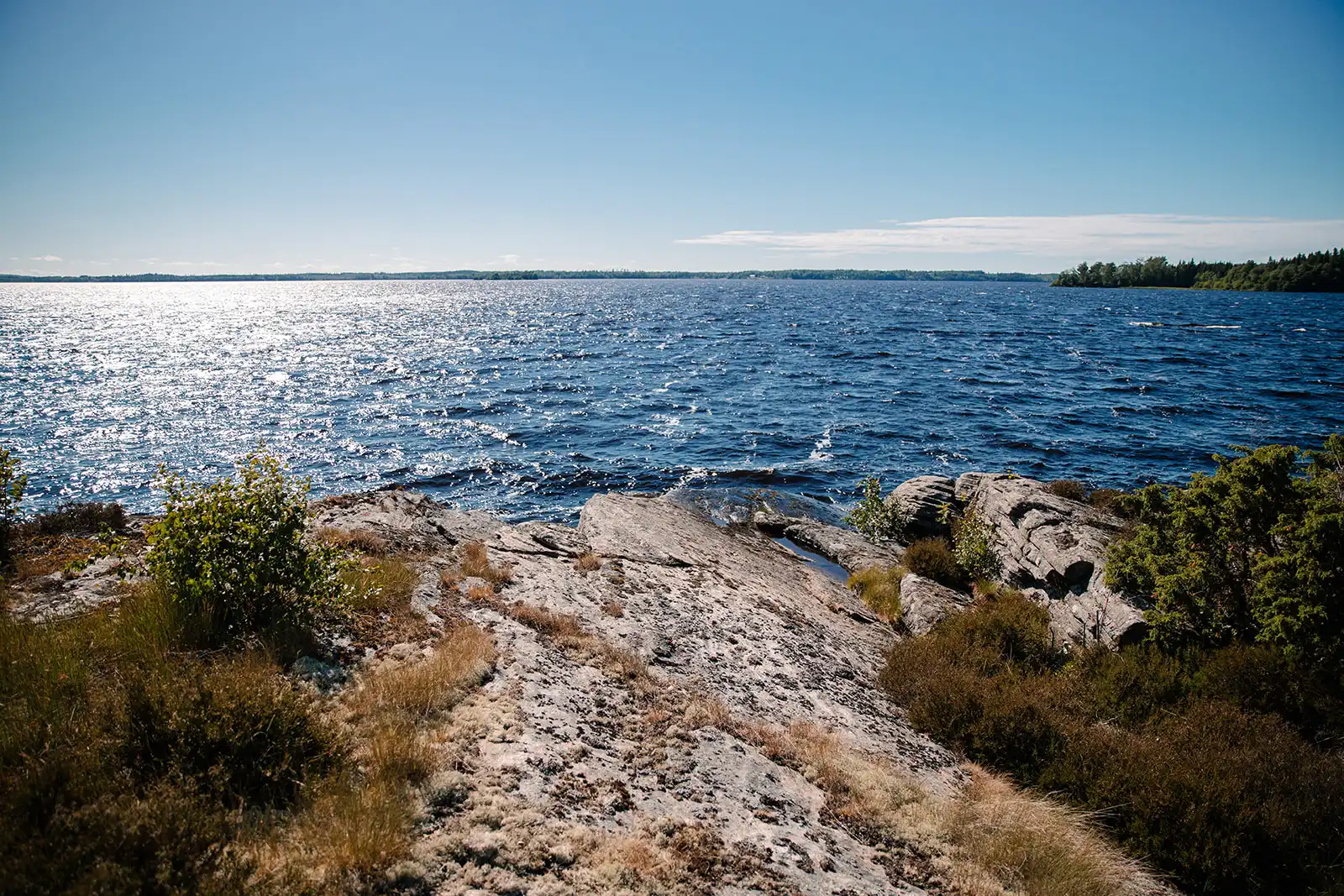 _I0A0972 47