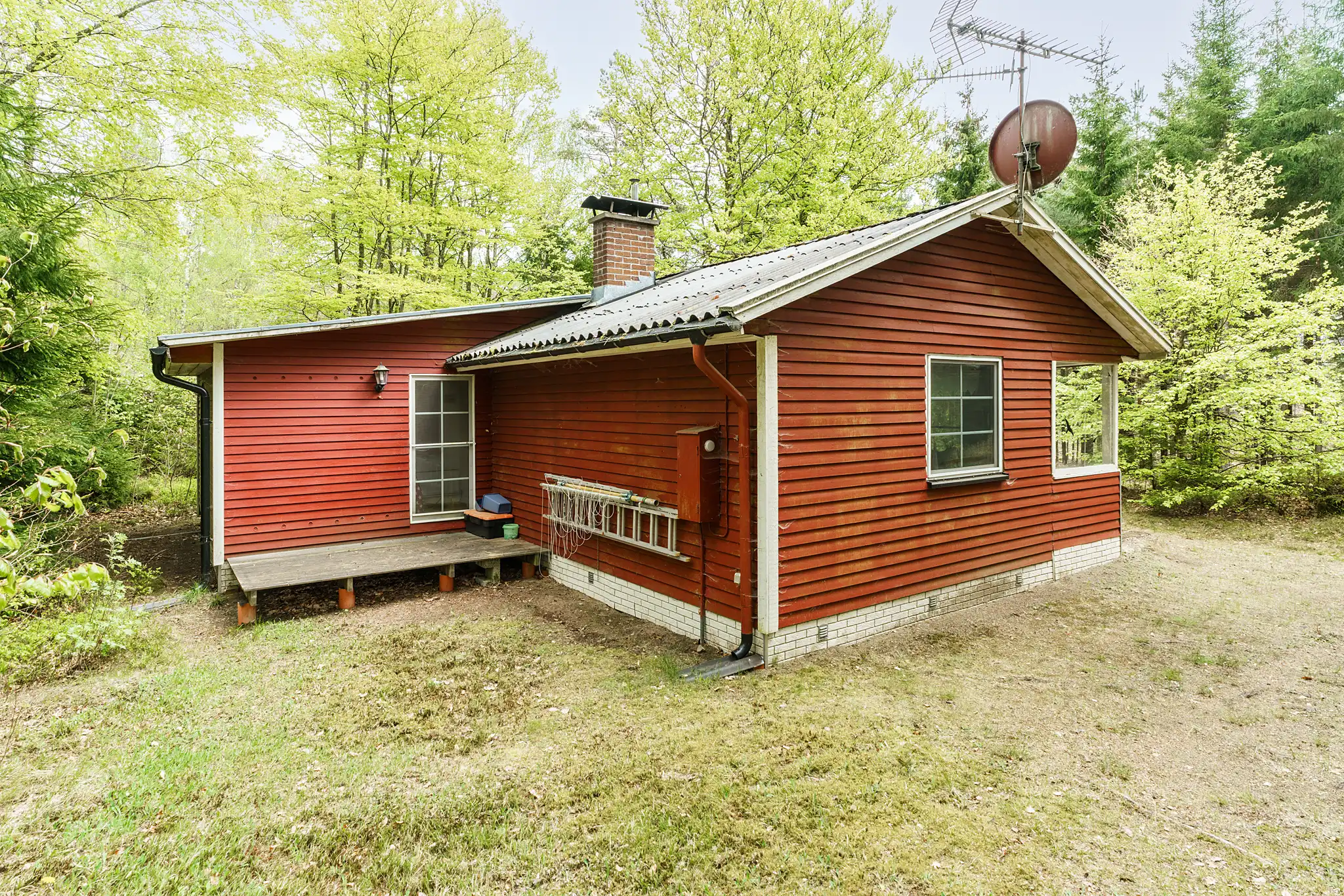 ÖrsjönBrännhult10,Älmhult-09052025-005 4