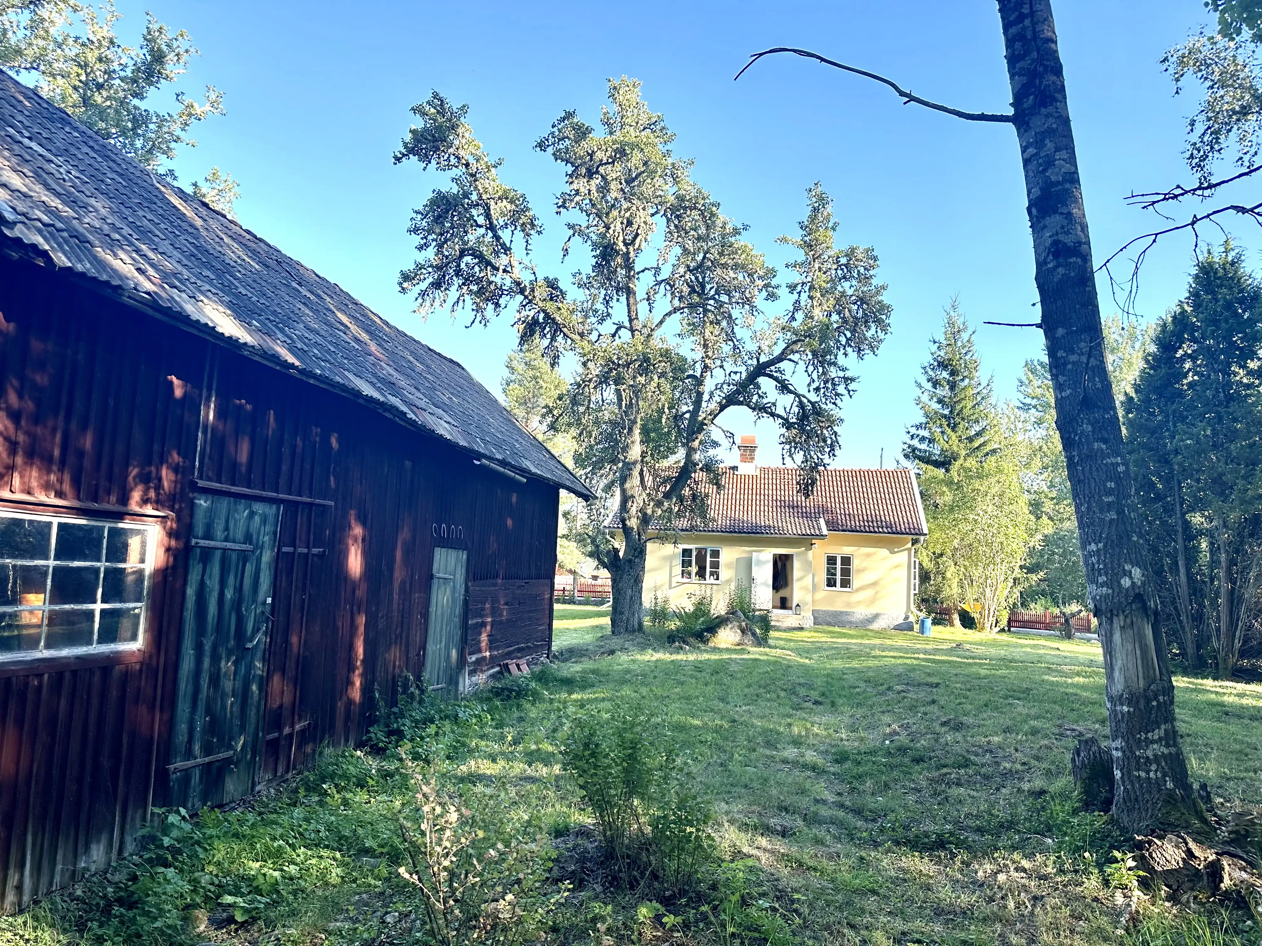 image1 (4) 29