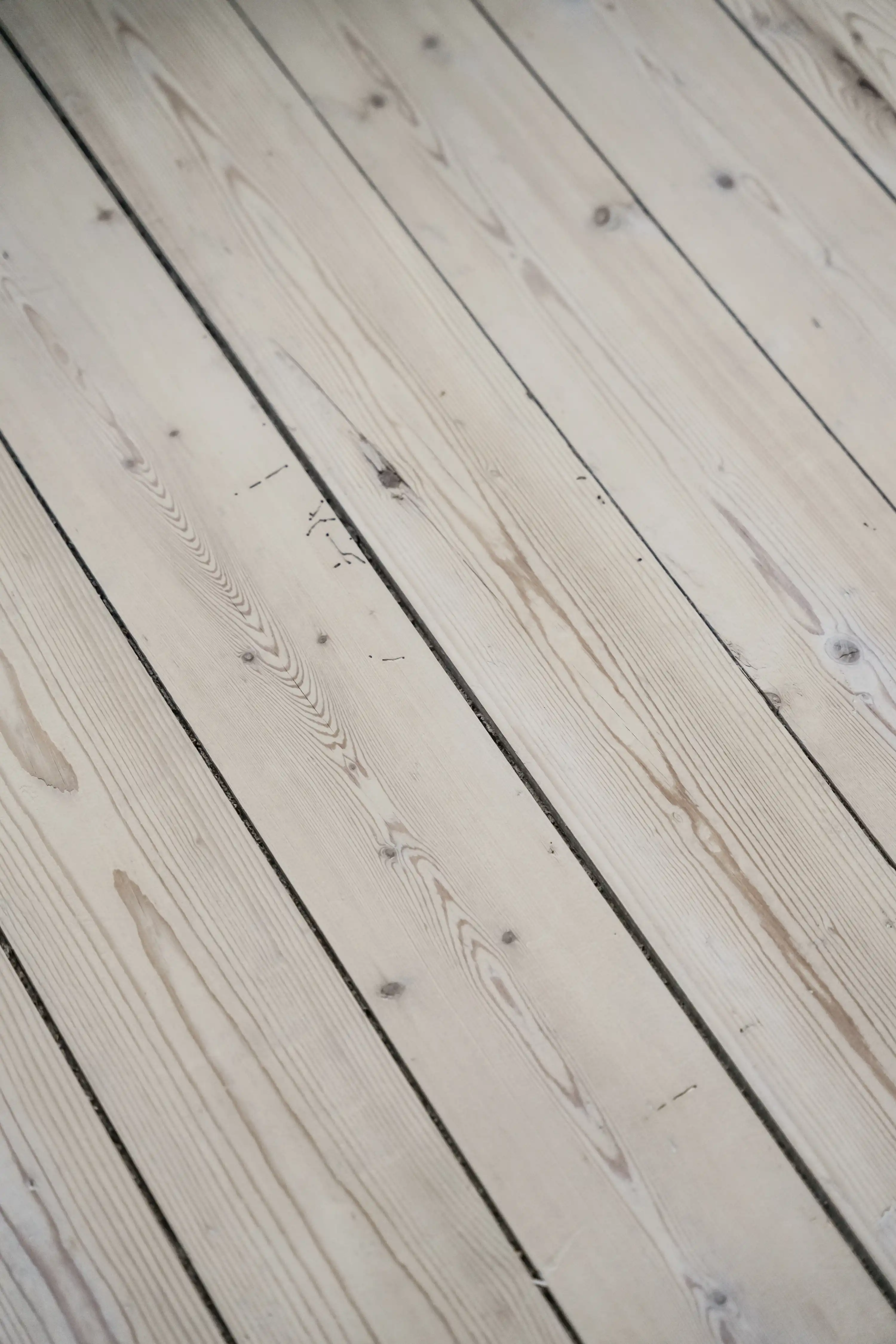 JuddhultStenaborg1,Älmhult-04122025-013 15