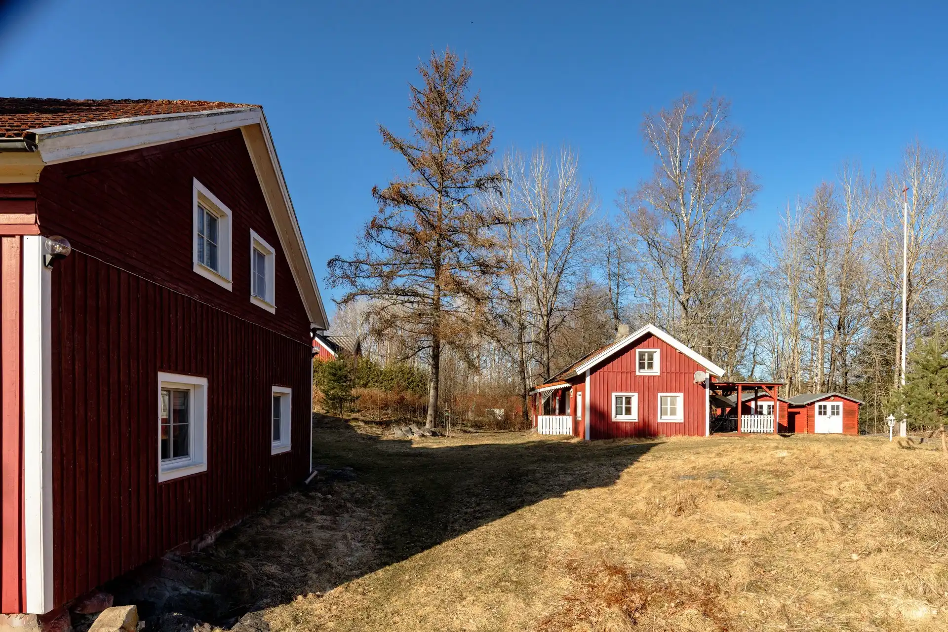 801895-420-1_005.jpg 5