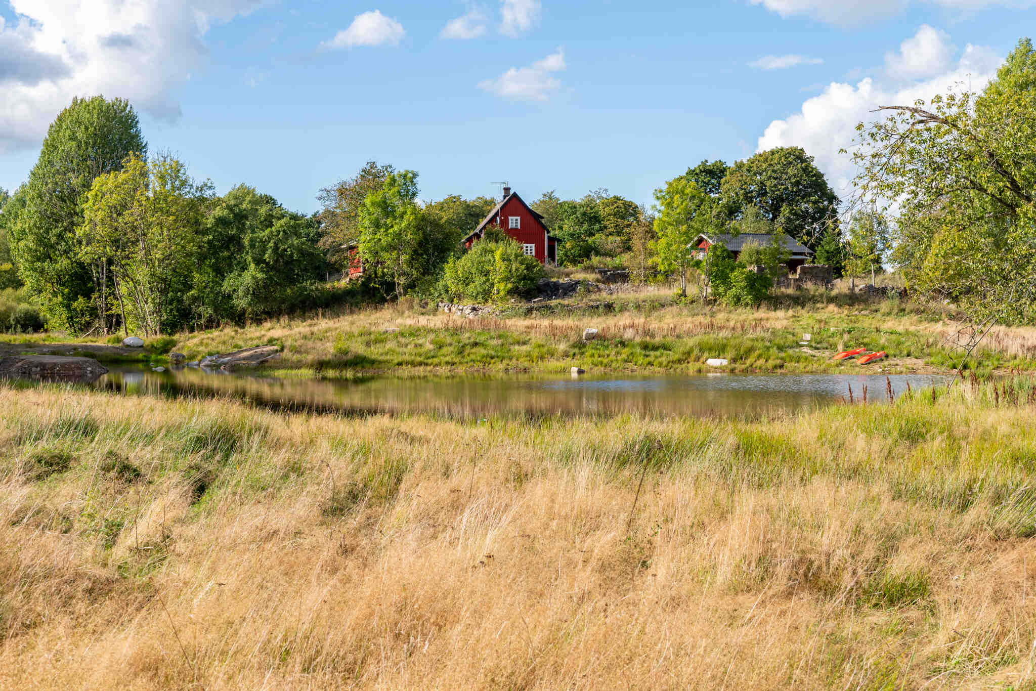 Beterås3059,Markaryd-12092024-006