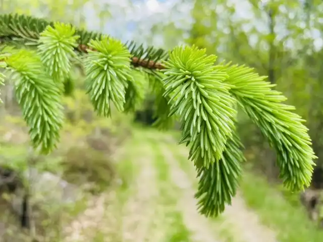 37406801-7F73-4E37-88FF-8B6A3C882B80 10