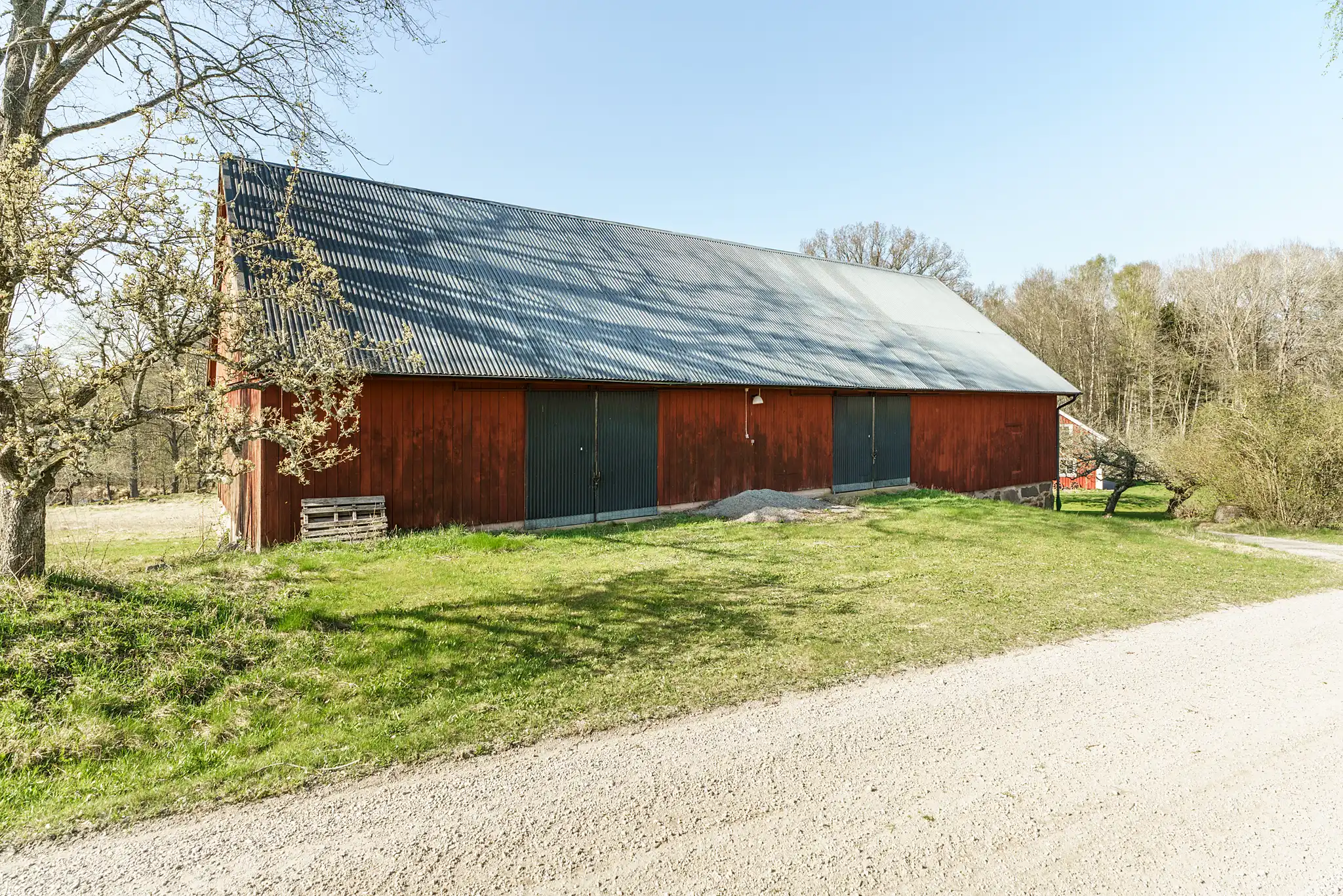 Borgön1,Urshult-17042025-034 11