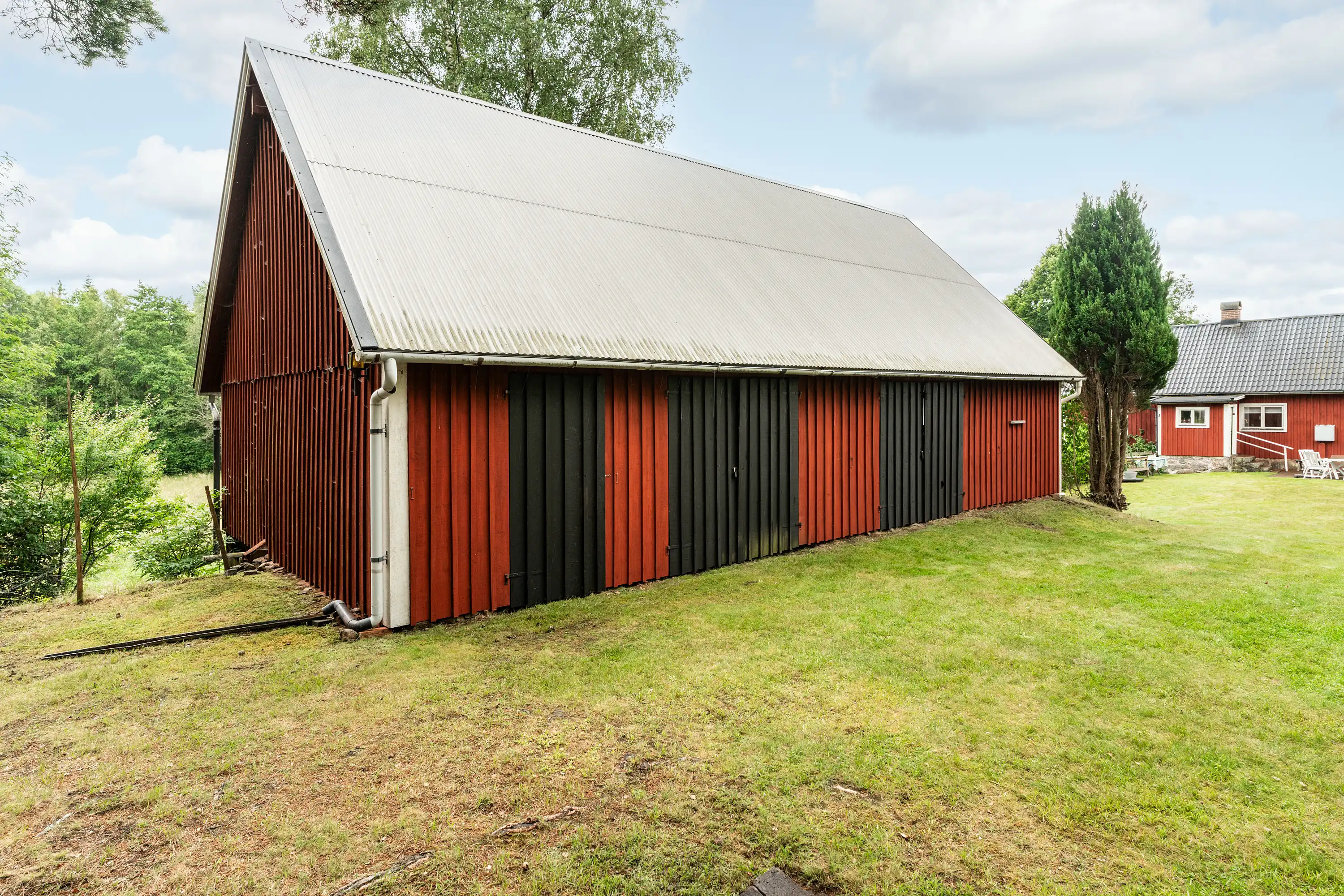 Gräsljunga1083,Visseltofta-07072025-028 27