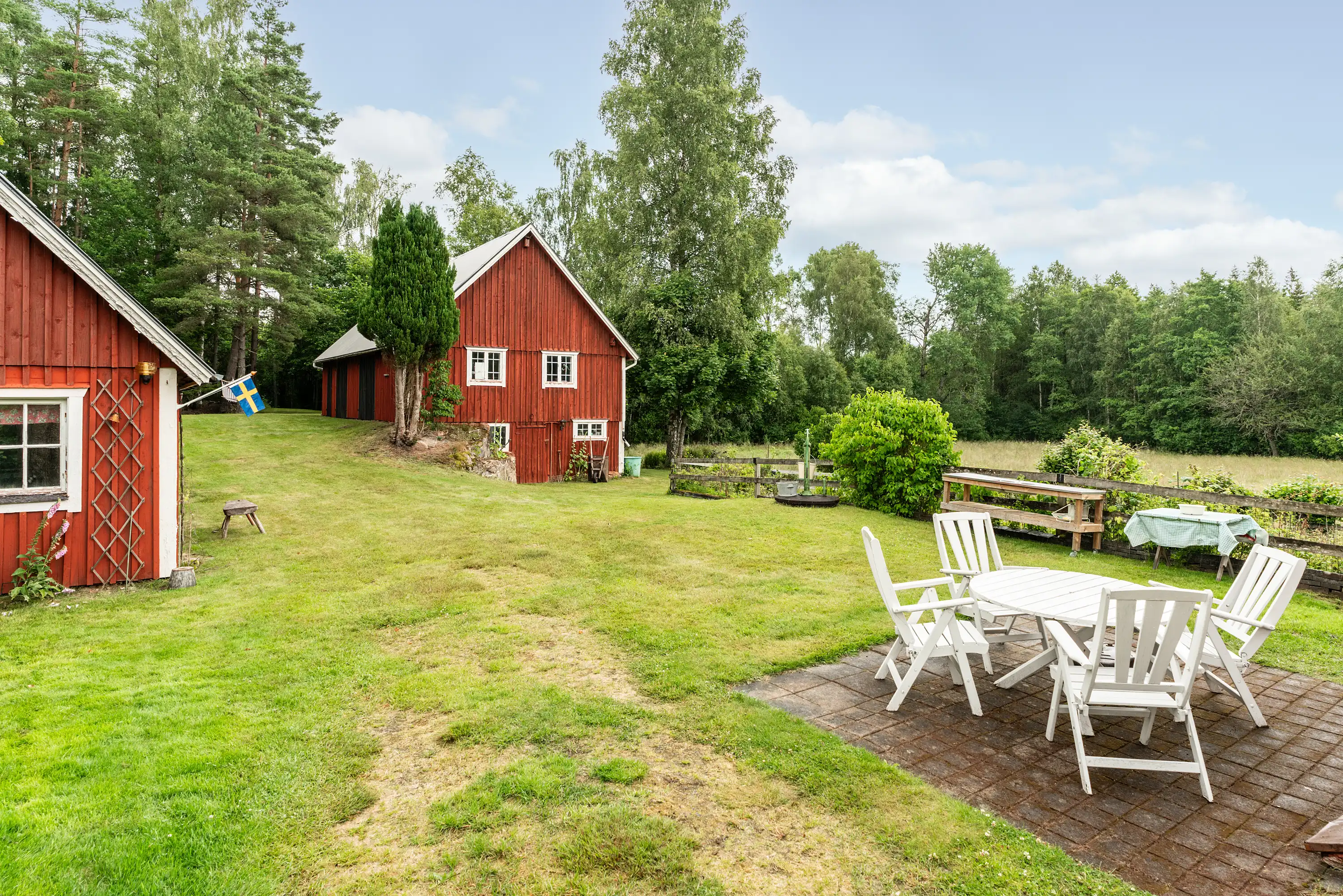 Gräsljunga1083,Visseltofta-07072025-004 3