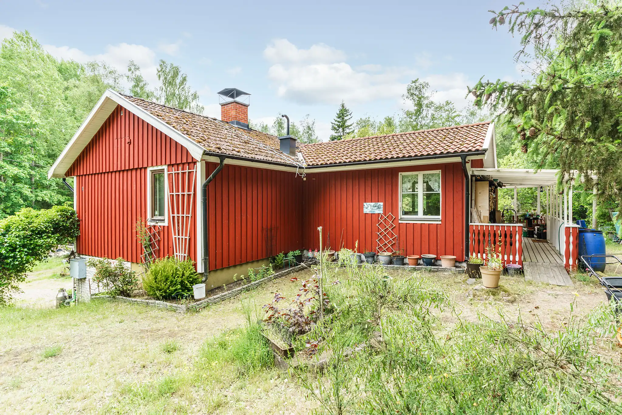 Alsjö520,Nybro-16062025-003 2