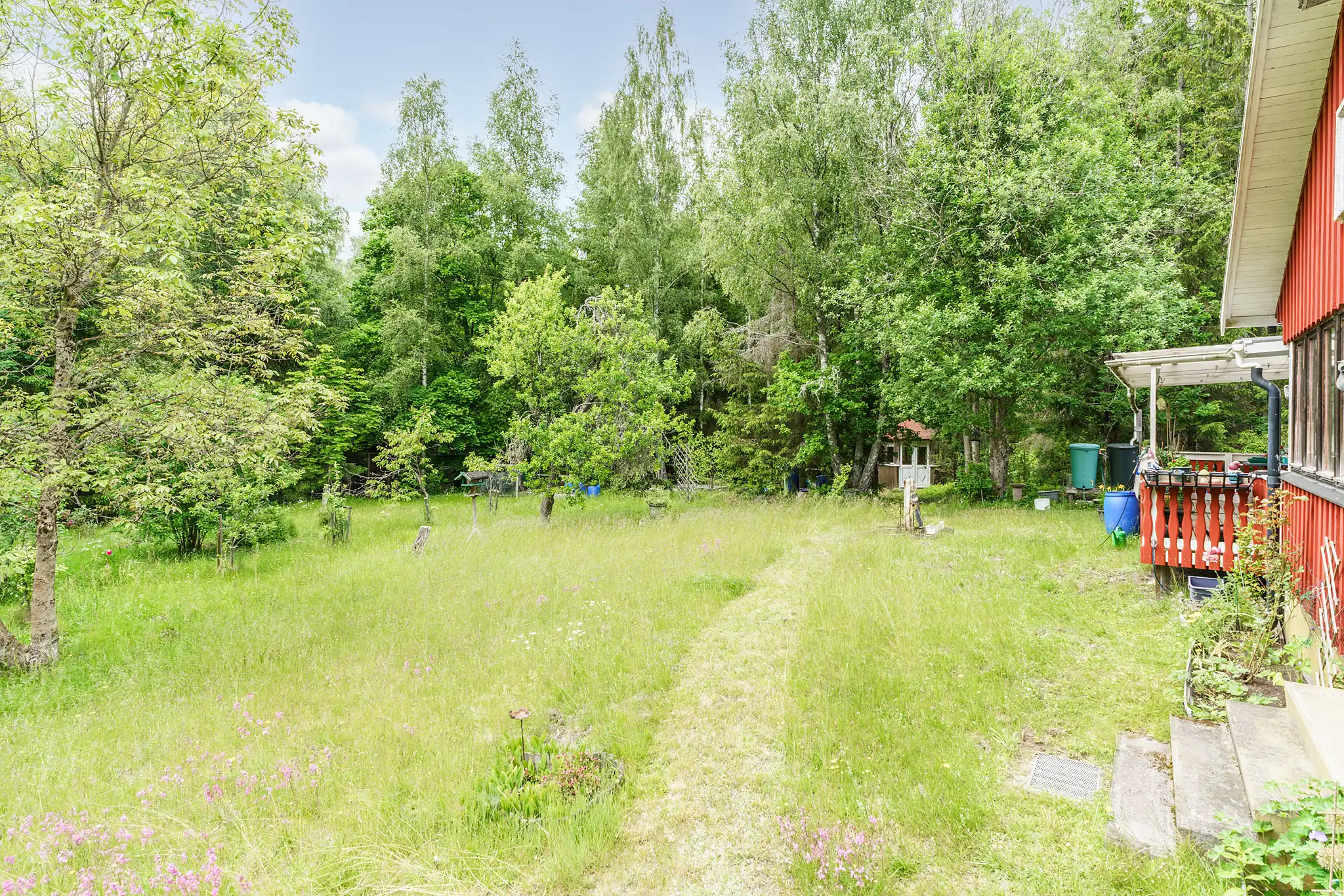 Alsjö520,Nybro-16062025-004 3
