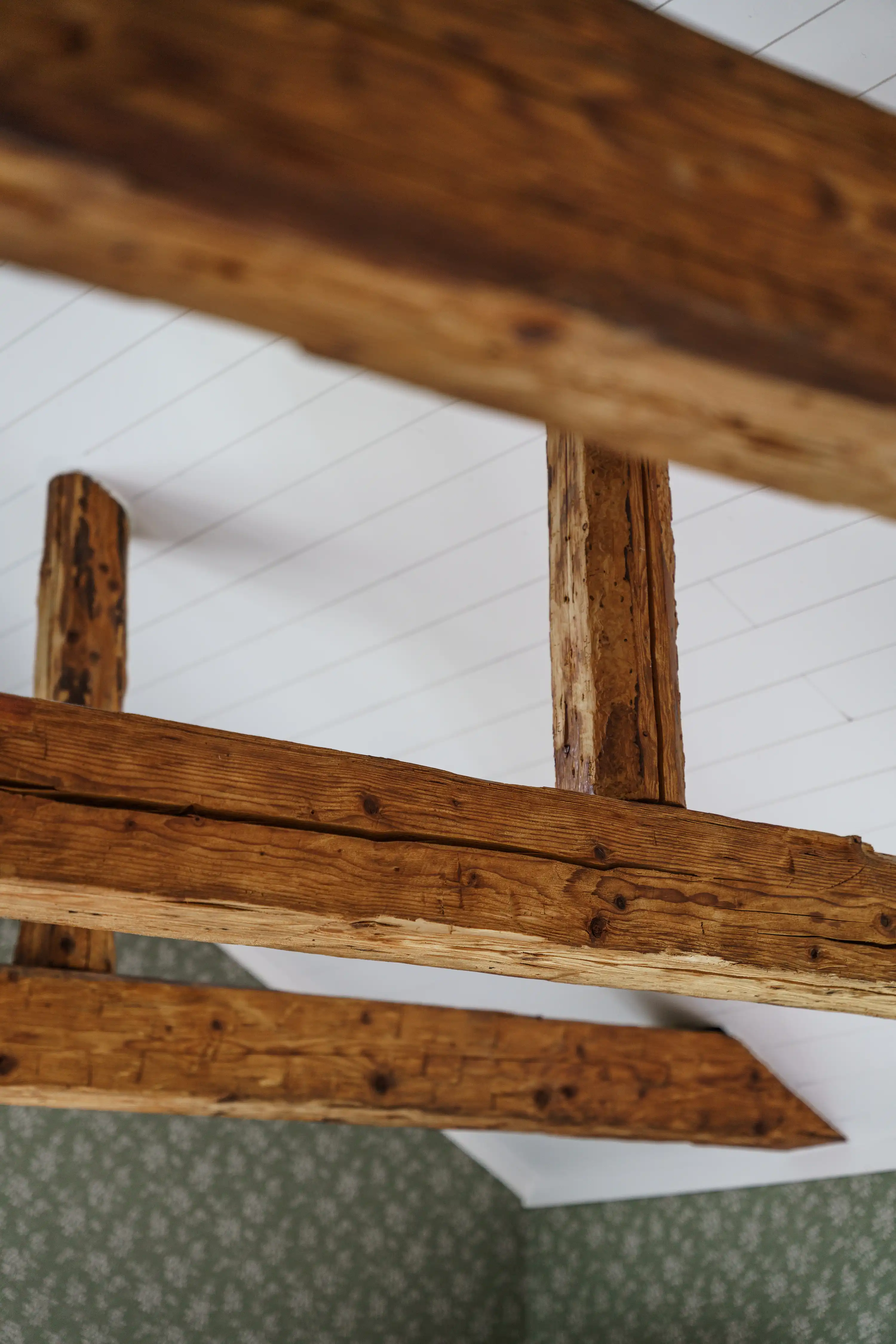 JätGärdesgård3,Växjö-12092025-025 27