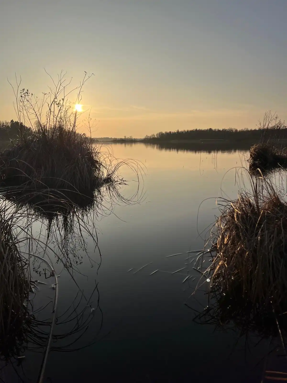 cd839710-ce14-4346-9a39-29be295347b3 64