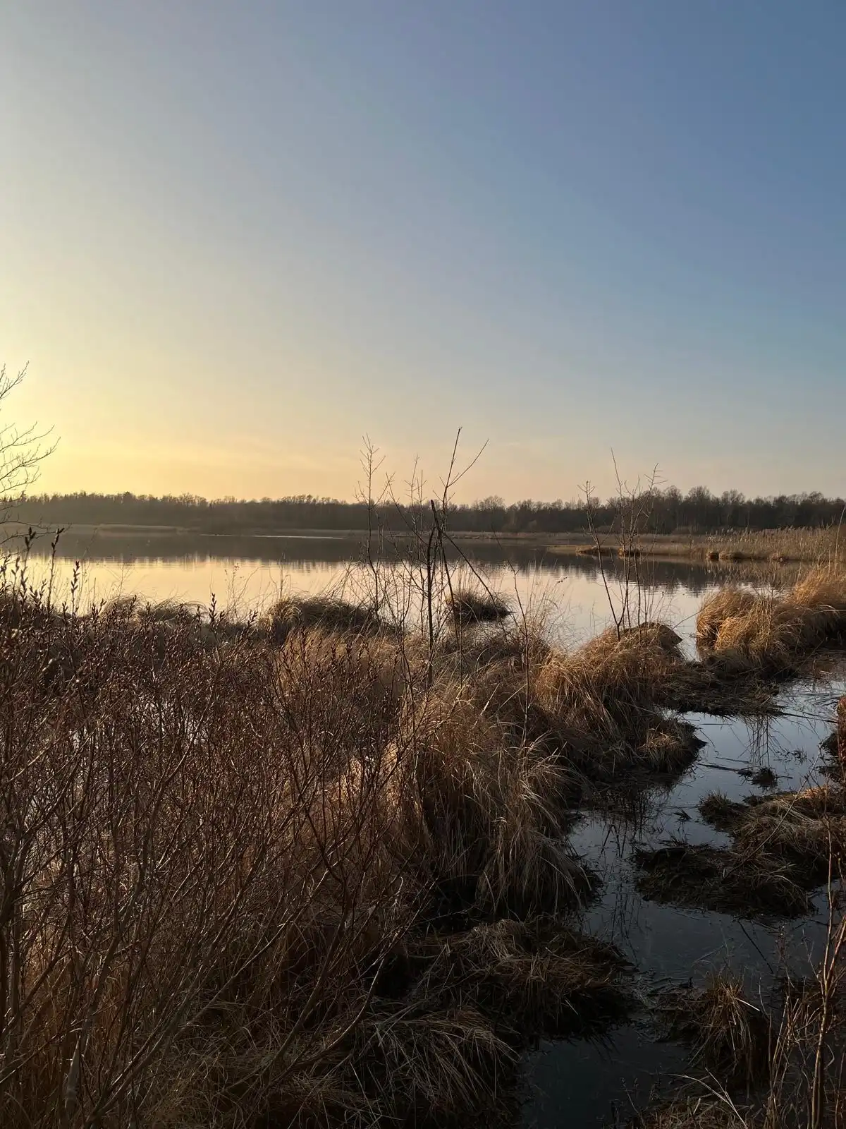 0a492438-58ce-41b7-a80e-679ba439a249 63