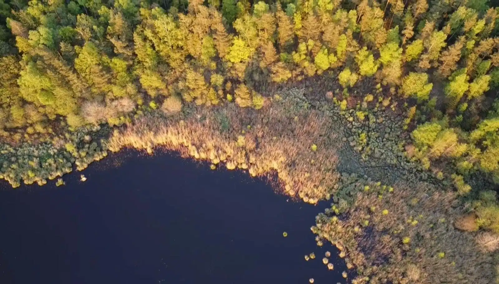 6bc51e50-23a2-4061-82fa-a719674fcc44 66