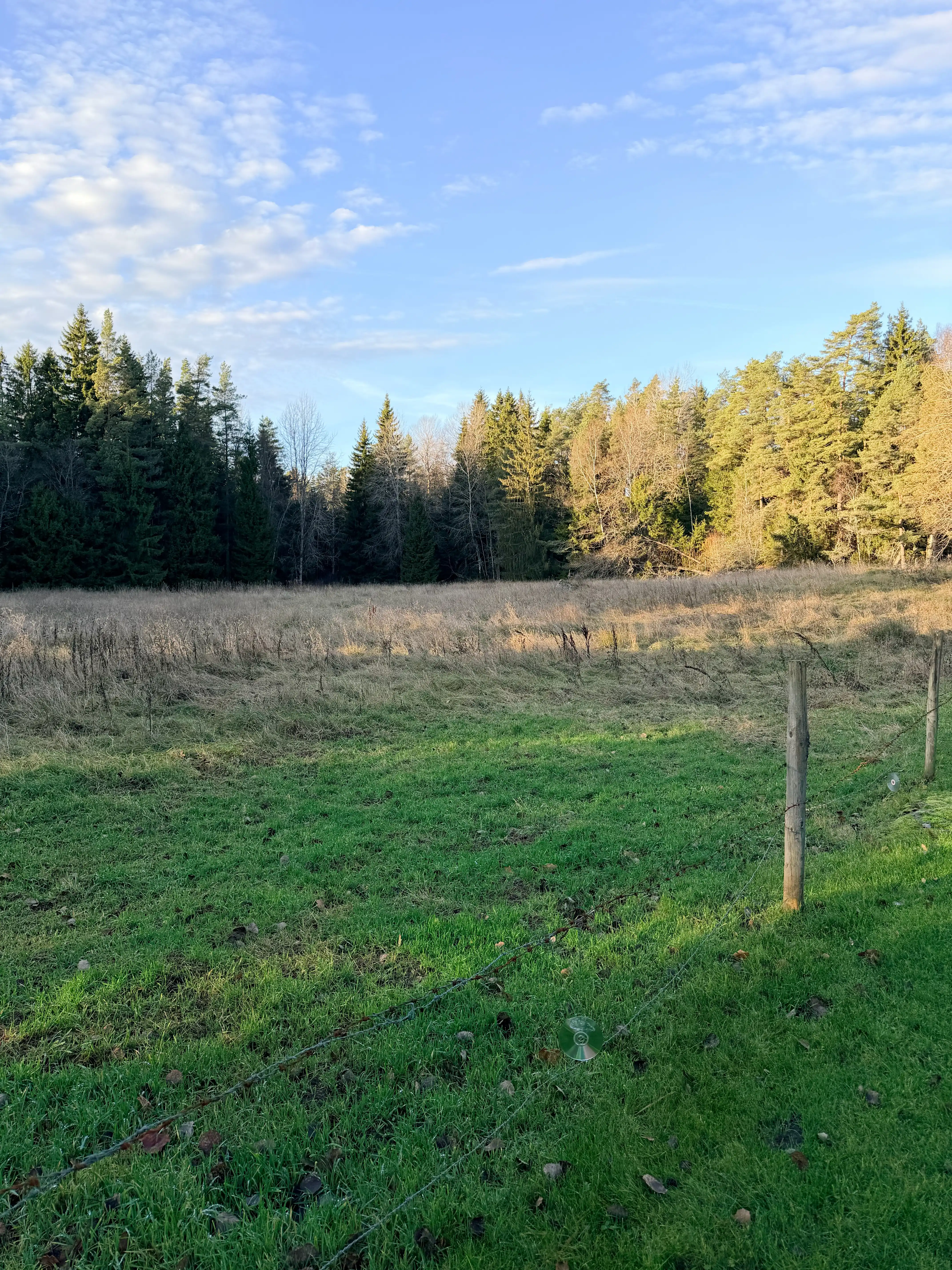 IMG_3332_Afterlight 4