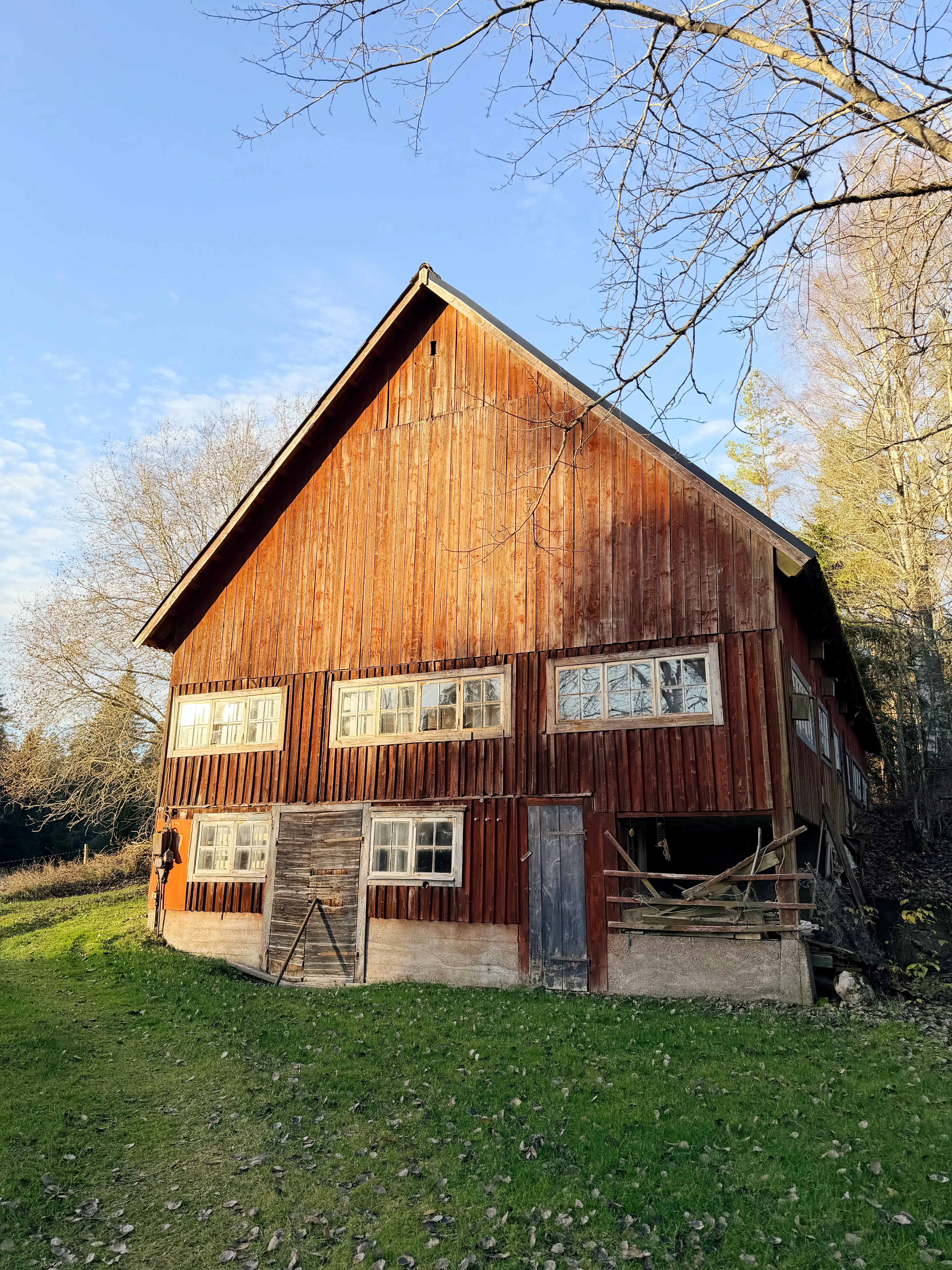 IMG_3339_Afterlight 7