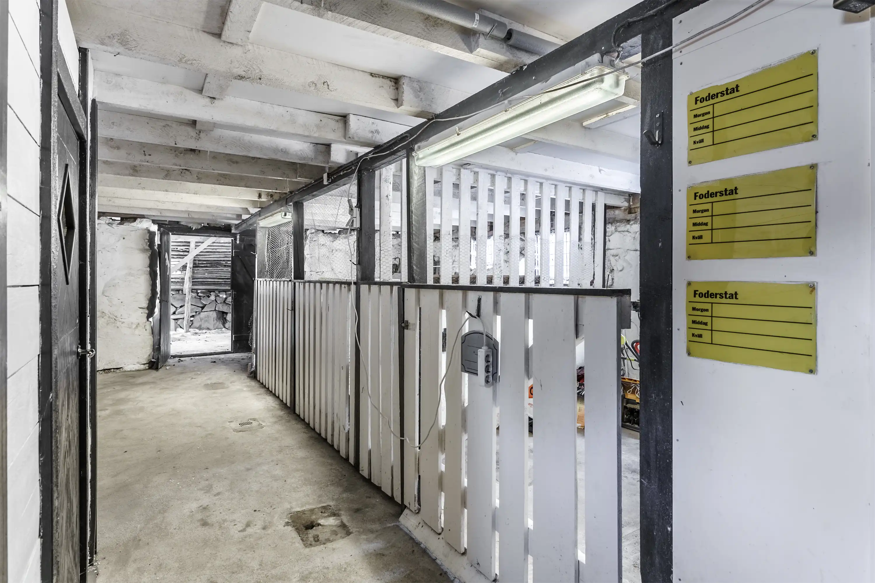 SödraBrokhultBokholmen1,Älmhult-09012026-027 28