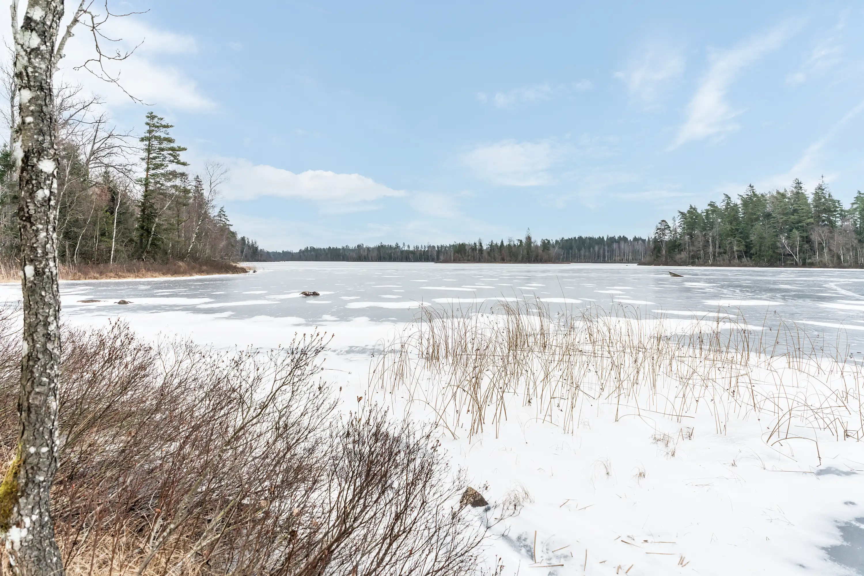 SkogsfastighetiHamneda-23012026-005.jpg 1