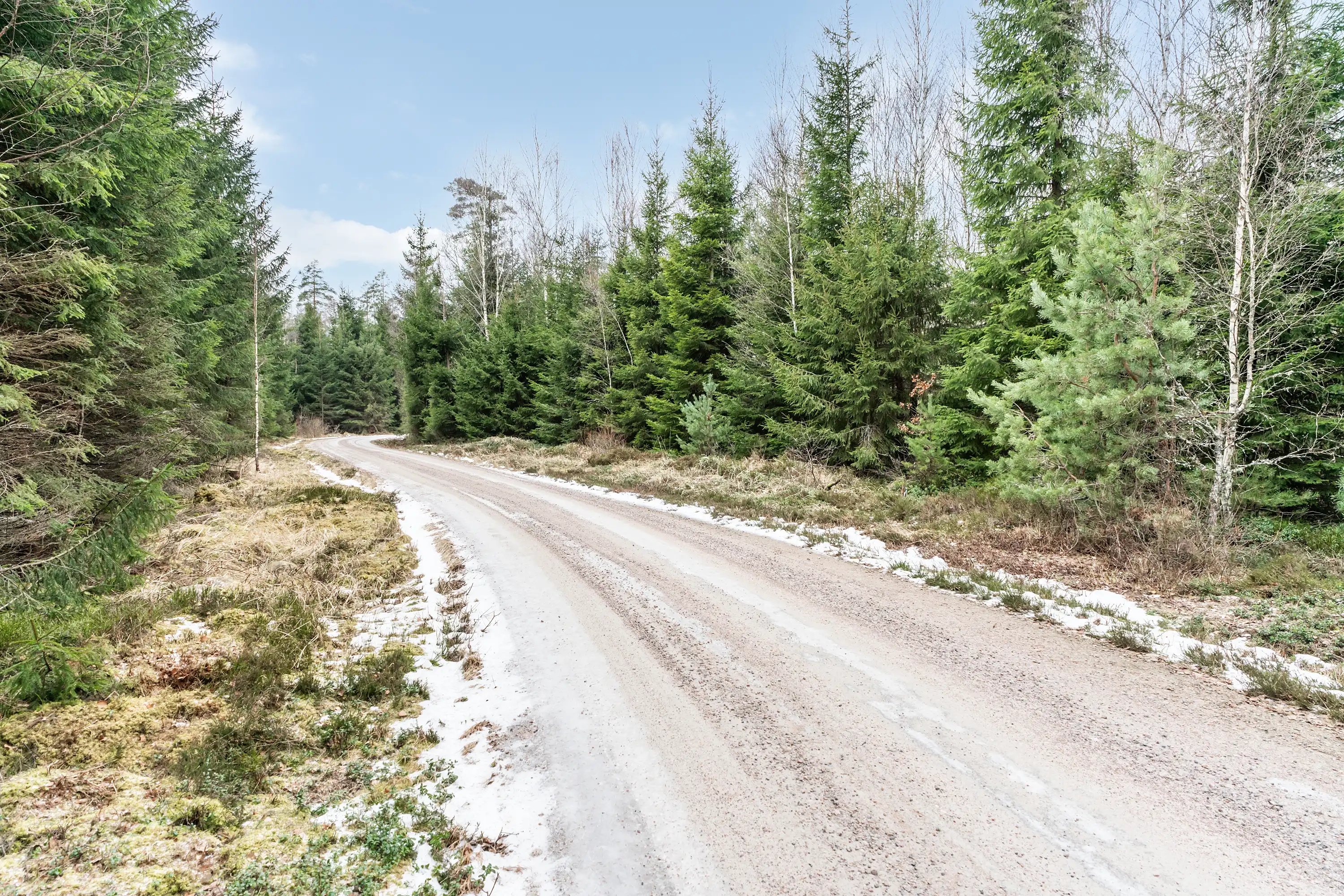 SkogsfastighetiHamneda-23012026-009.jpg 2