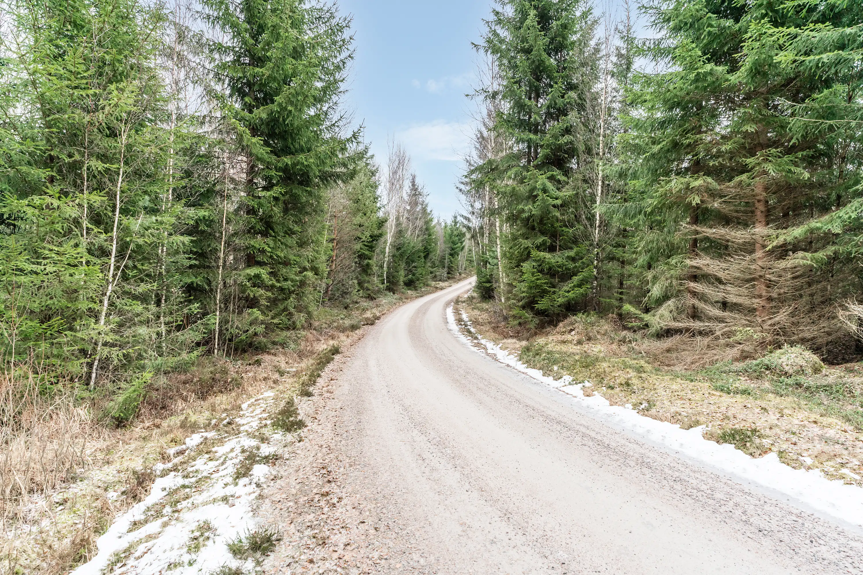 SkogsfastighetiHamneda-23012026-010.jpg 3