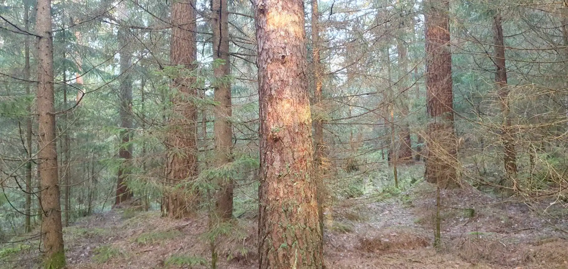 Resized_20260120_102651.jpeg 8