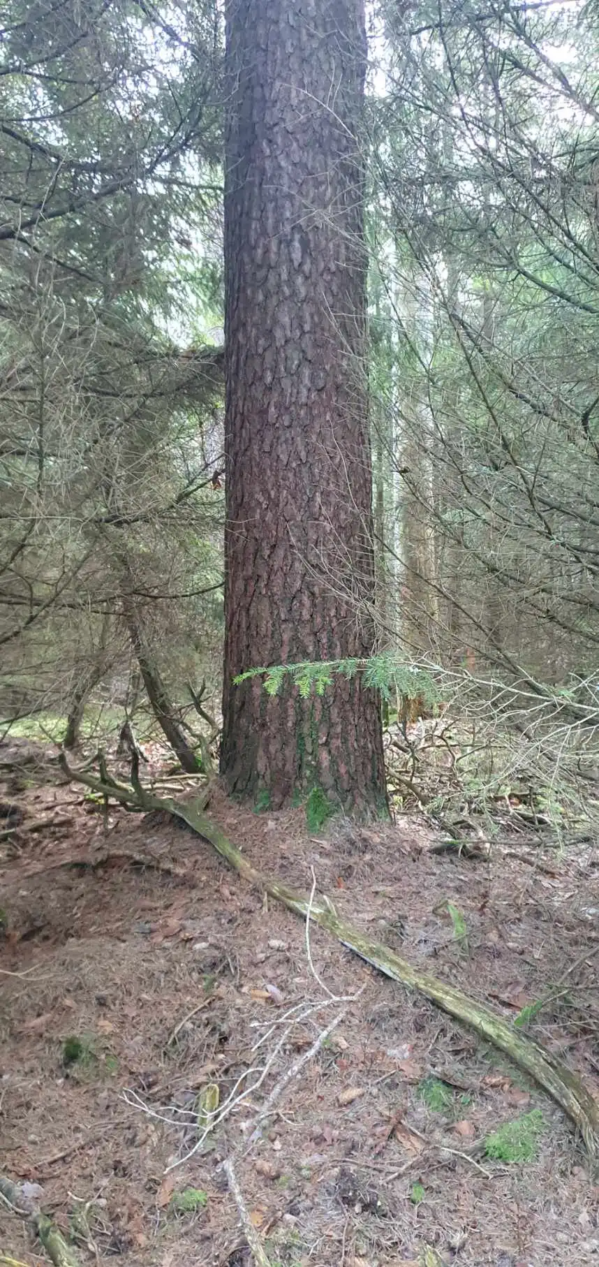 Resized_20260120_103138.jpeg 7