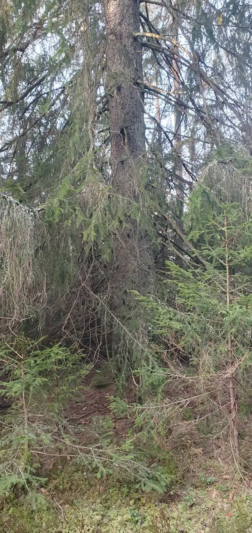 Resized_20260120_102931.jpeg 9