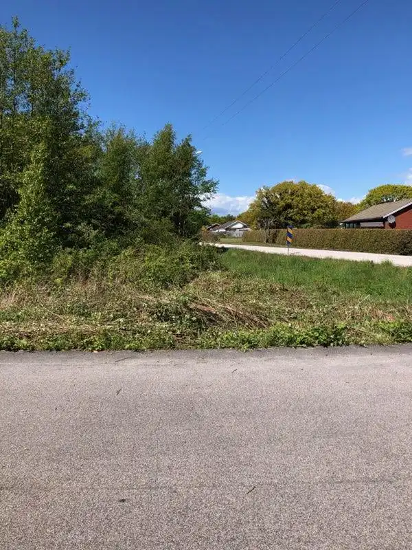 IMG_20200521_183345_01 2