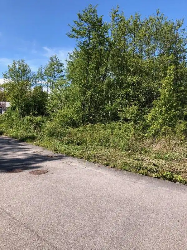 IMG_20200521_183517_01 1