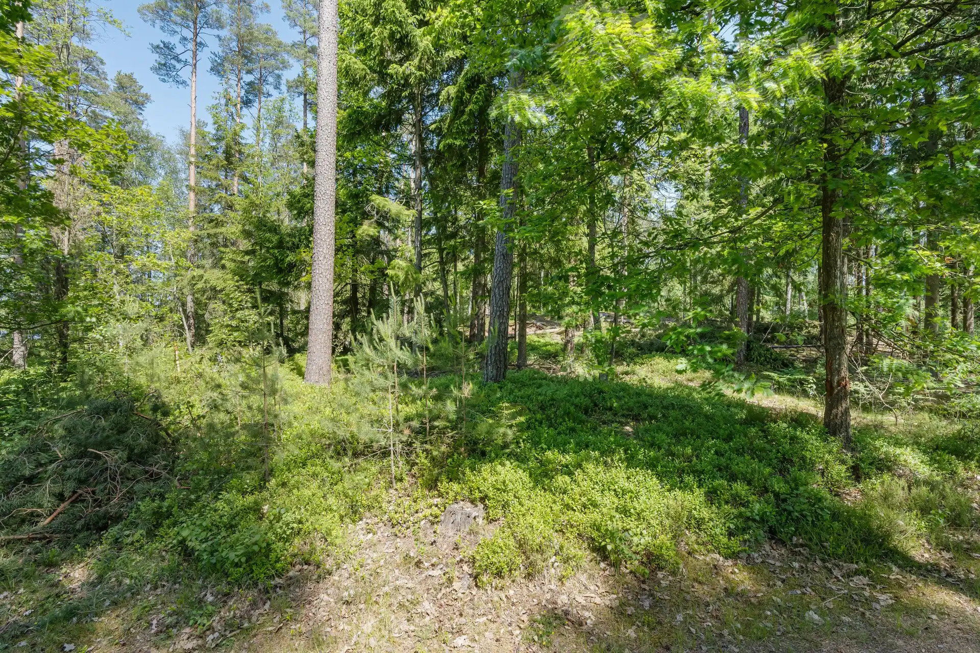 748148-420-1_004 6