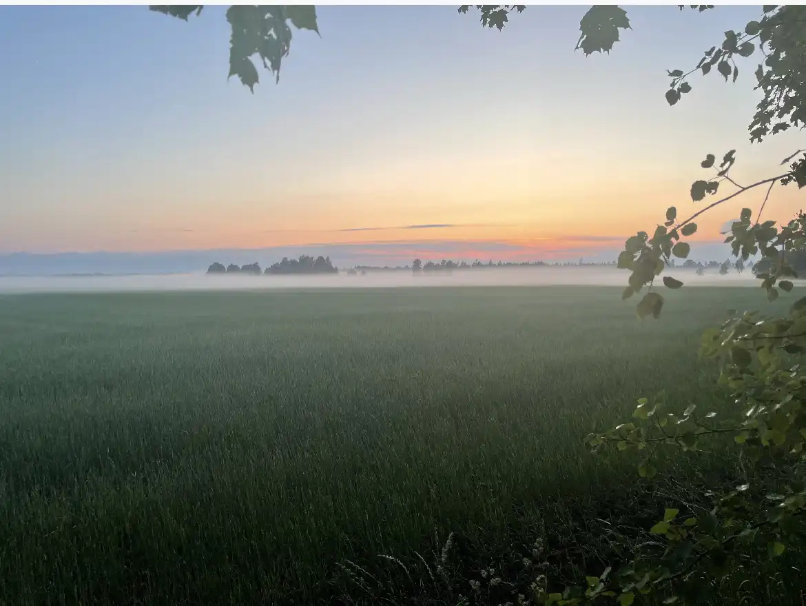 920CB554-C457-40E2-BD94-785E11A6D3EF 7