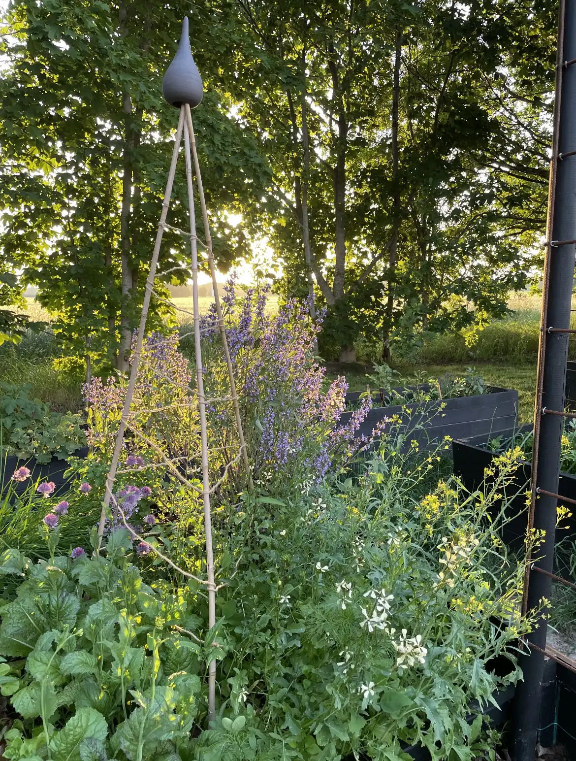 E189C70C-4A45-4289-8A22-520CDA5672E1 8