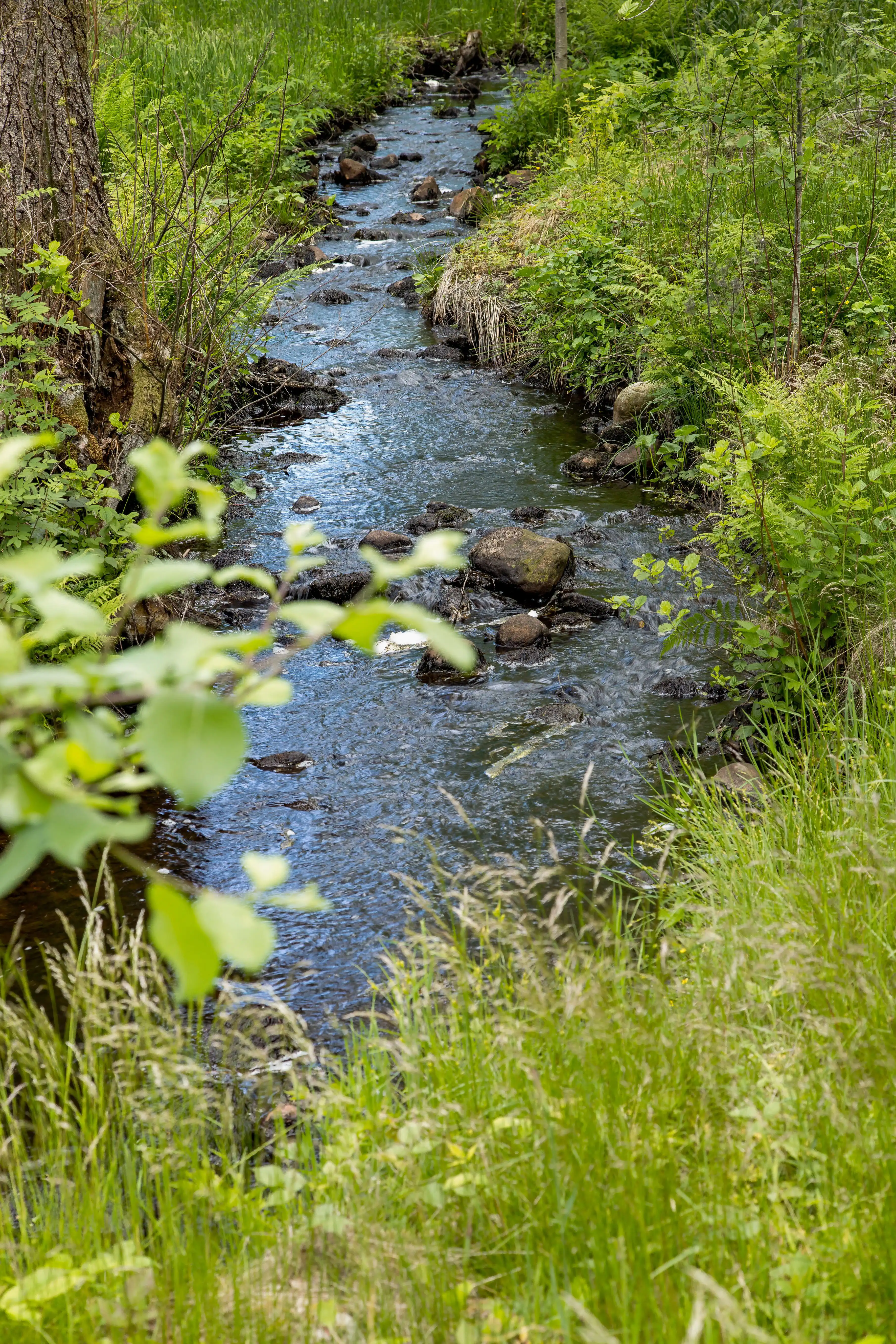 528214-25_008 38