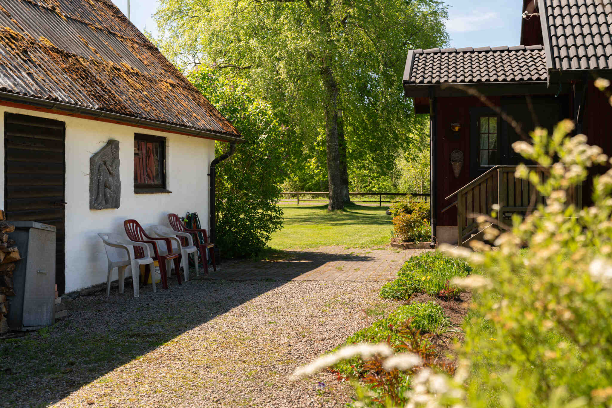 Slähult2282,Osby-13052024-008 26